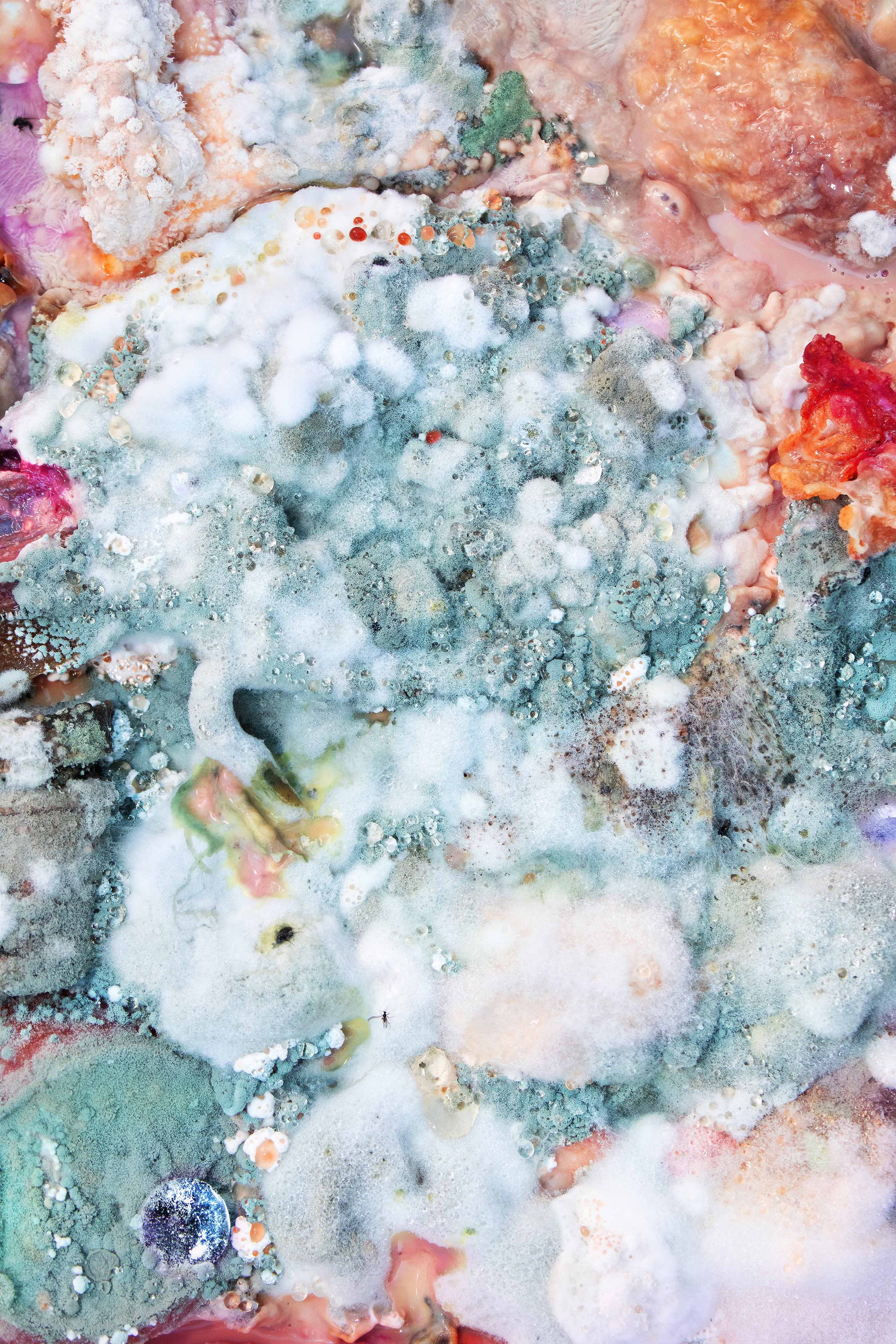 A close-up view of a microbial or chemical environment with various textures, colors, and formations including frothy bubbles, crystalline structures, and reddish-orange patches.