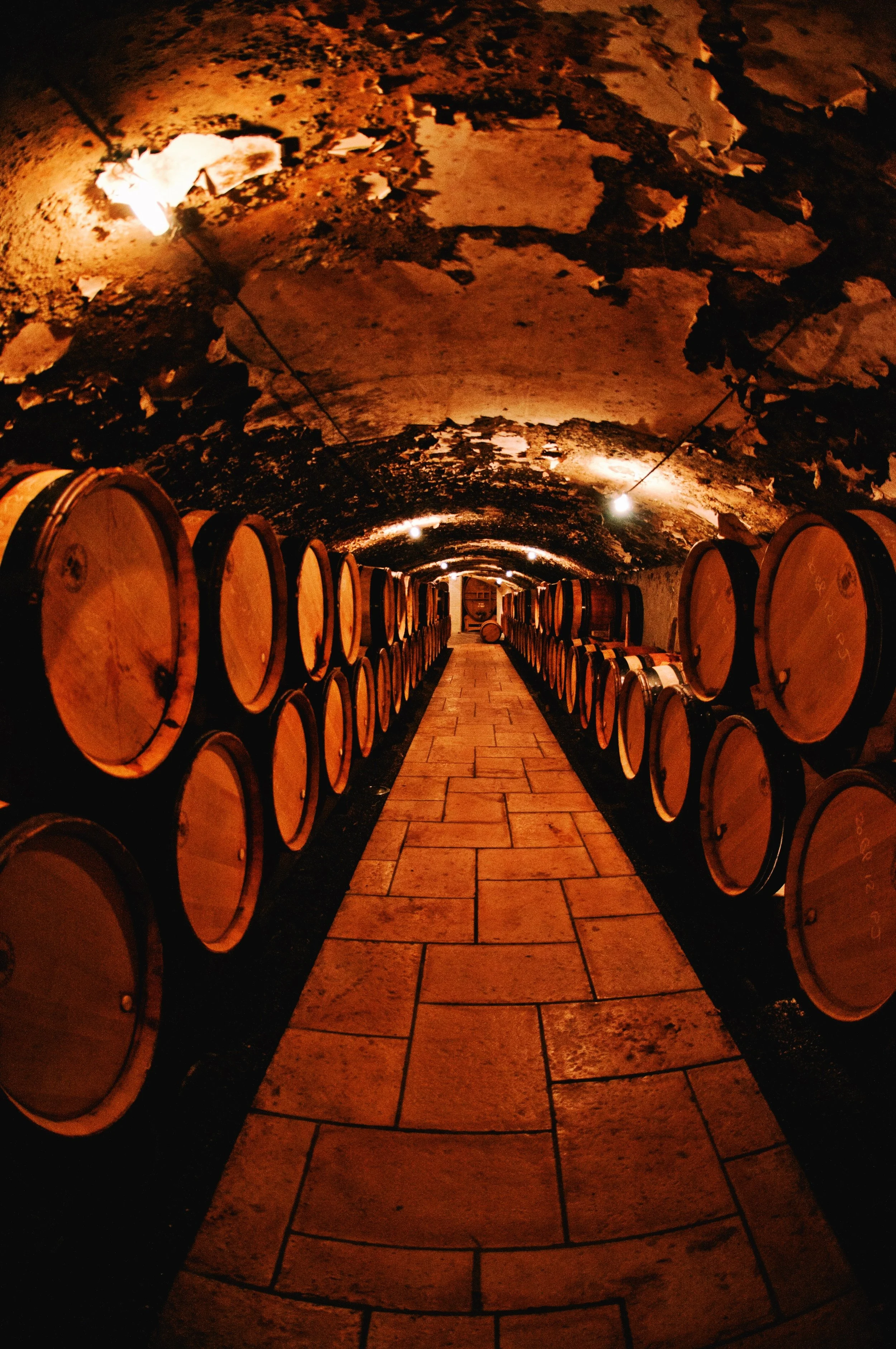 A Wine Tasting and Food Pairing at a historic winery blends signature winemaking, local gastronomy, and architectural heritage.