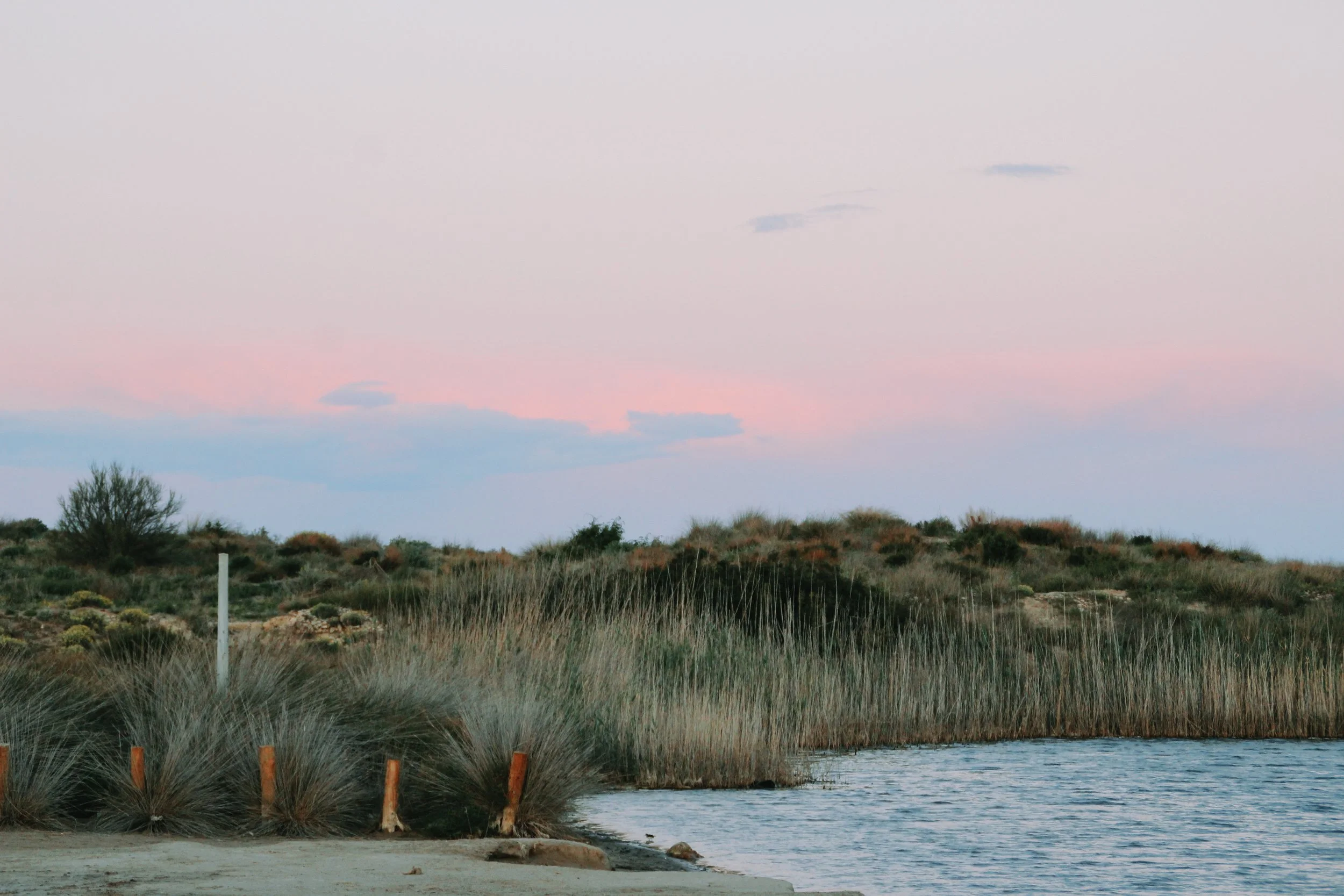 Boat trip along the coast. The visitor's preferred route: parallel sailing along the unspoiled, natural Albufera coast.