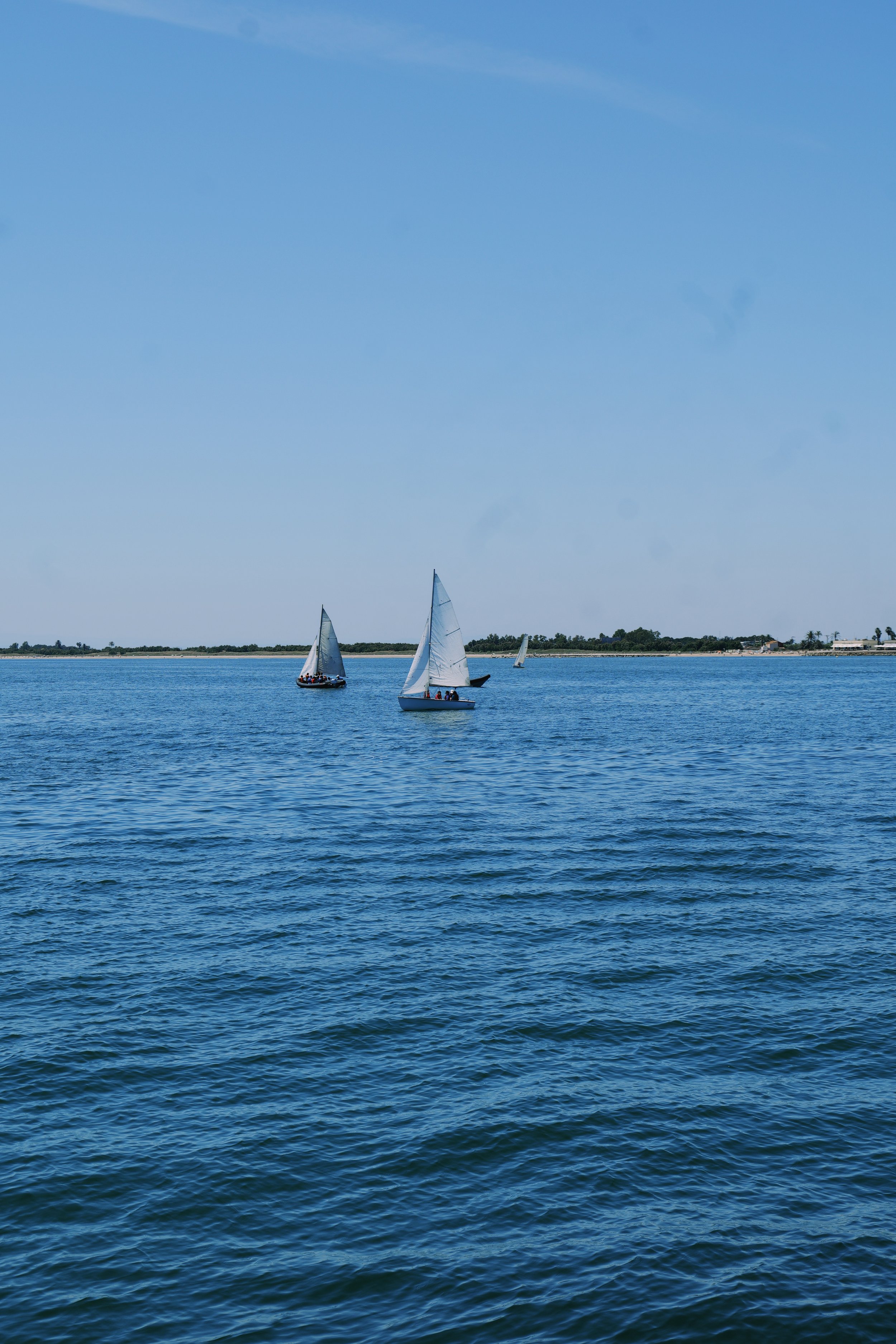Sailboats on a calm body of water with a distant tree-lined shoreline and a clear blue sky.