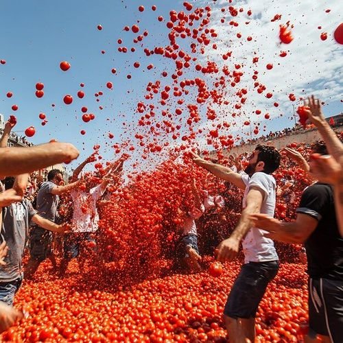 People participating in a tomato fight, throwing tomatoes into the air during a large outdoor event.