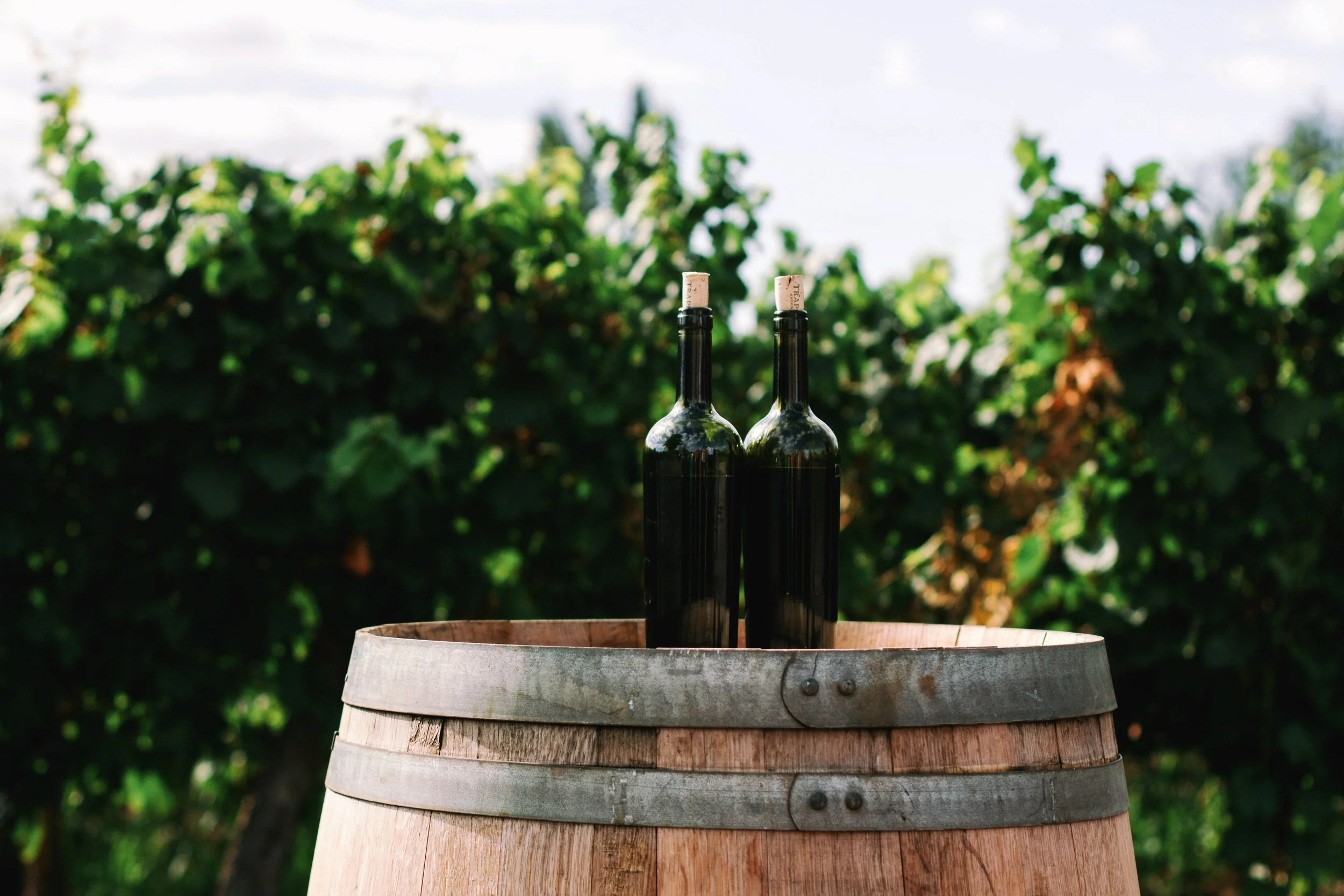 Two wine bottles with corks in a wooden barrel outdoors, surrounded by greenery.