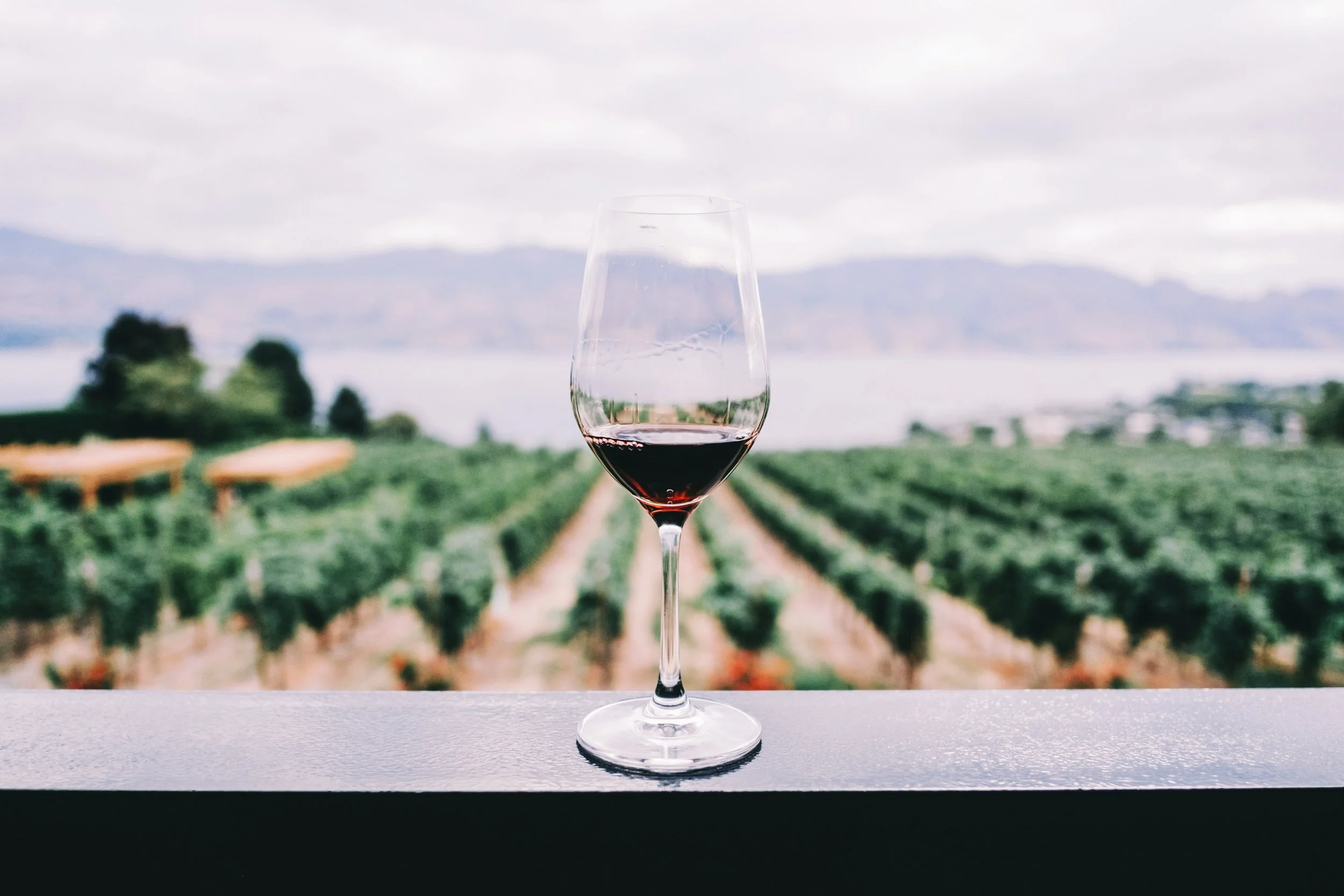 A Private Wine Tasting with a sommelier is a high-end, hedonistic, and educational experience designed to explore the world of oenology in a personalized way.