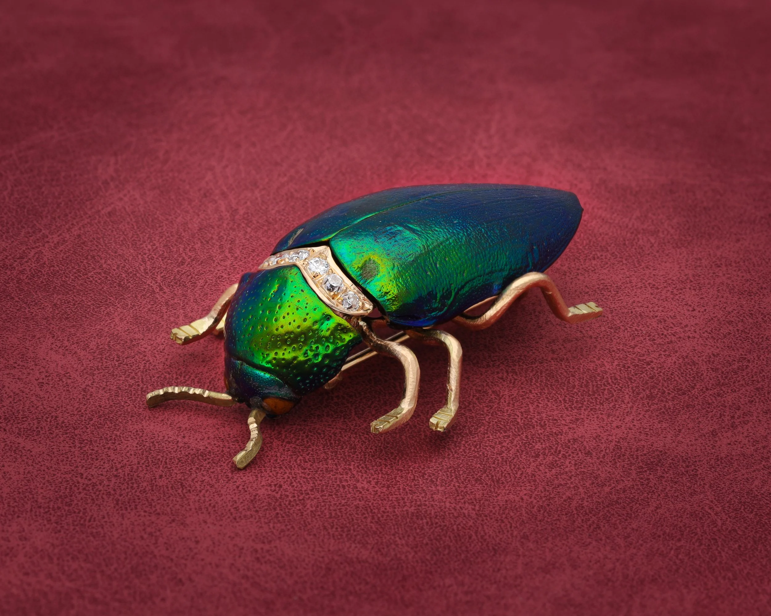Scarab Beetle in Gold