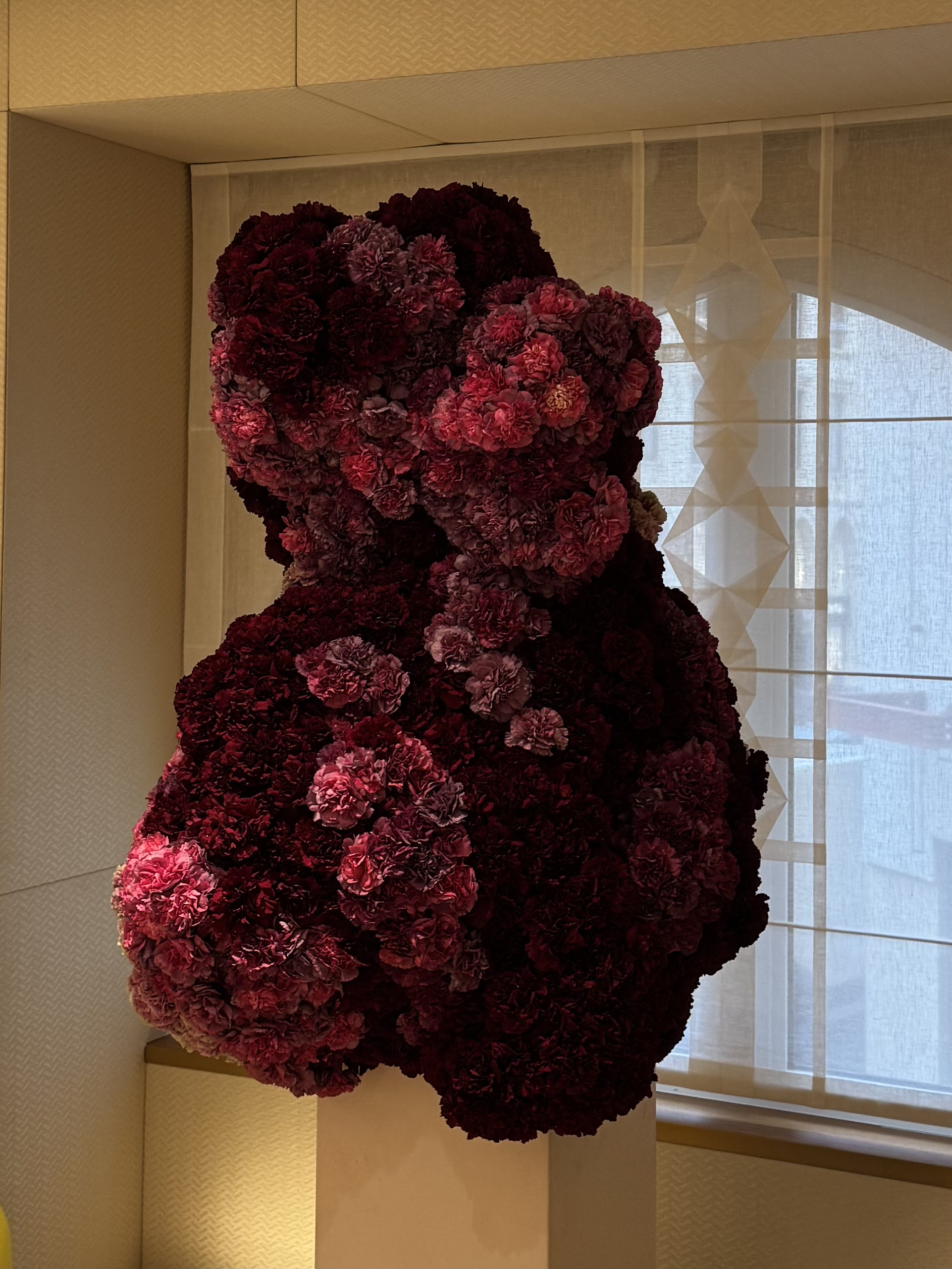 tempImage26iZKY.png