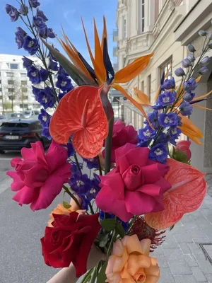 IMG_8199.jpeg.webp