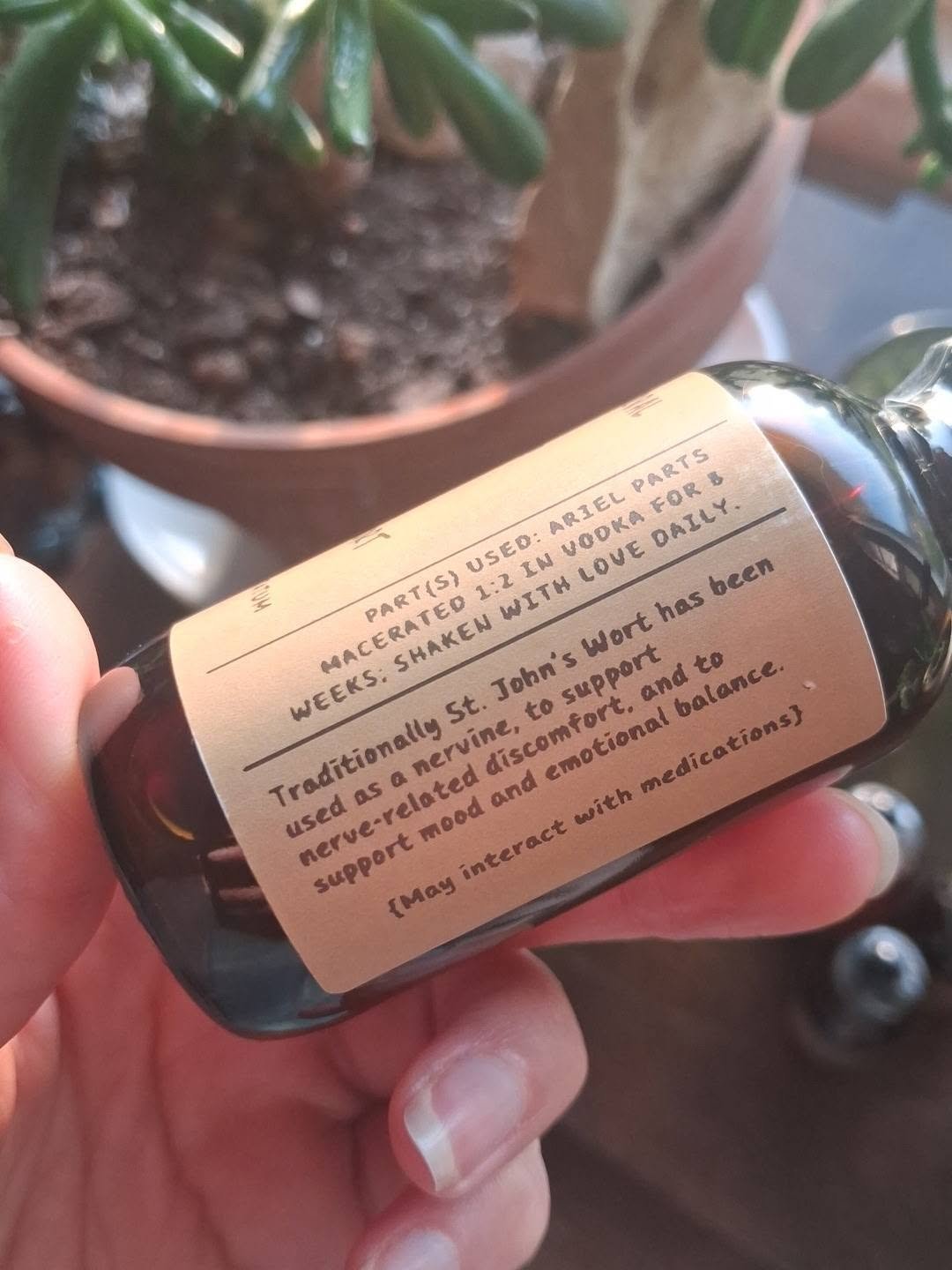 st johns wort tincture back.jpg