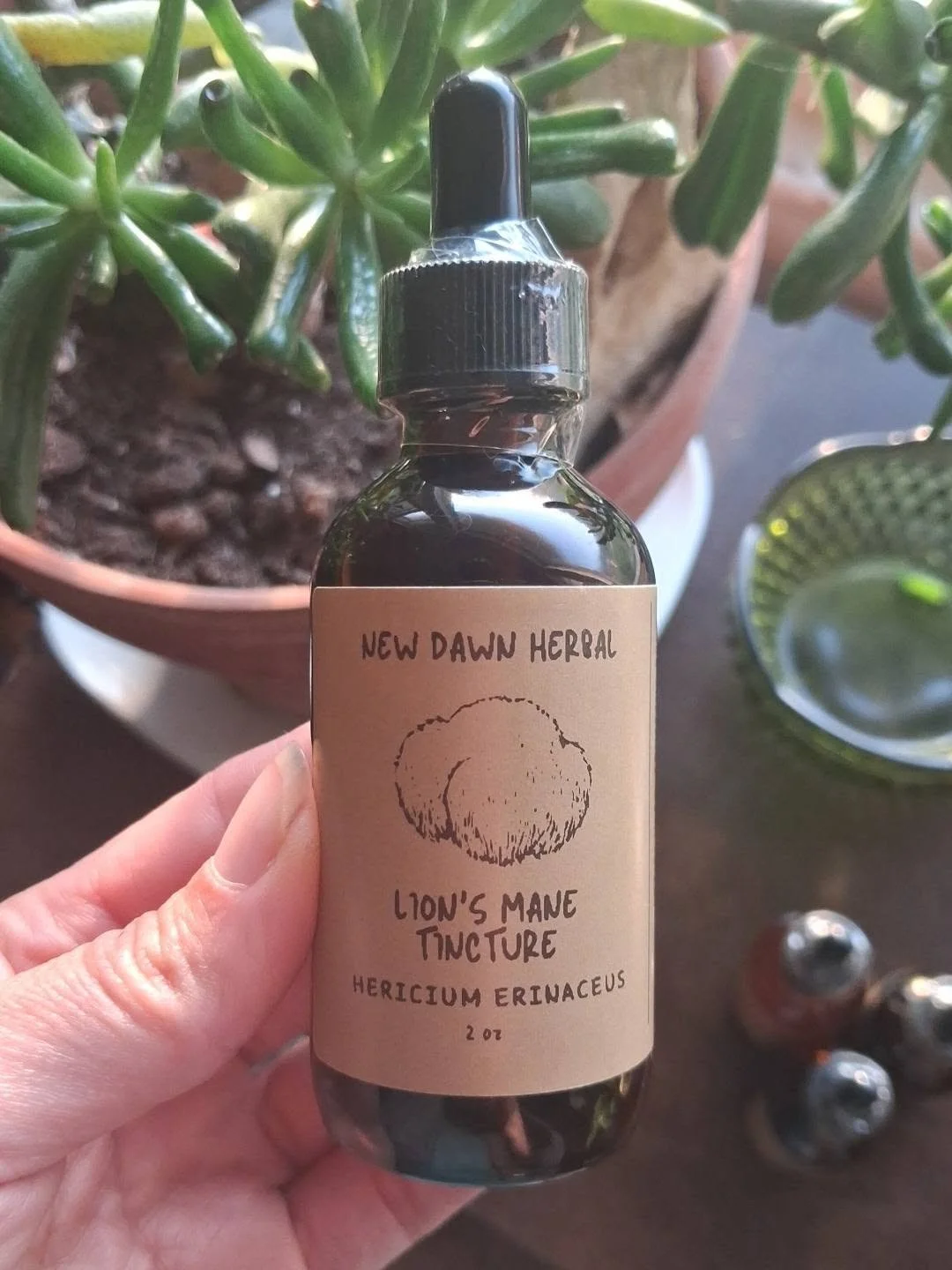 Lion's Mane Tincture front.jpg