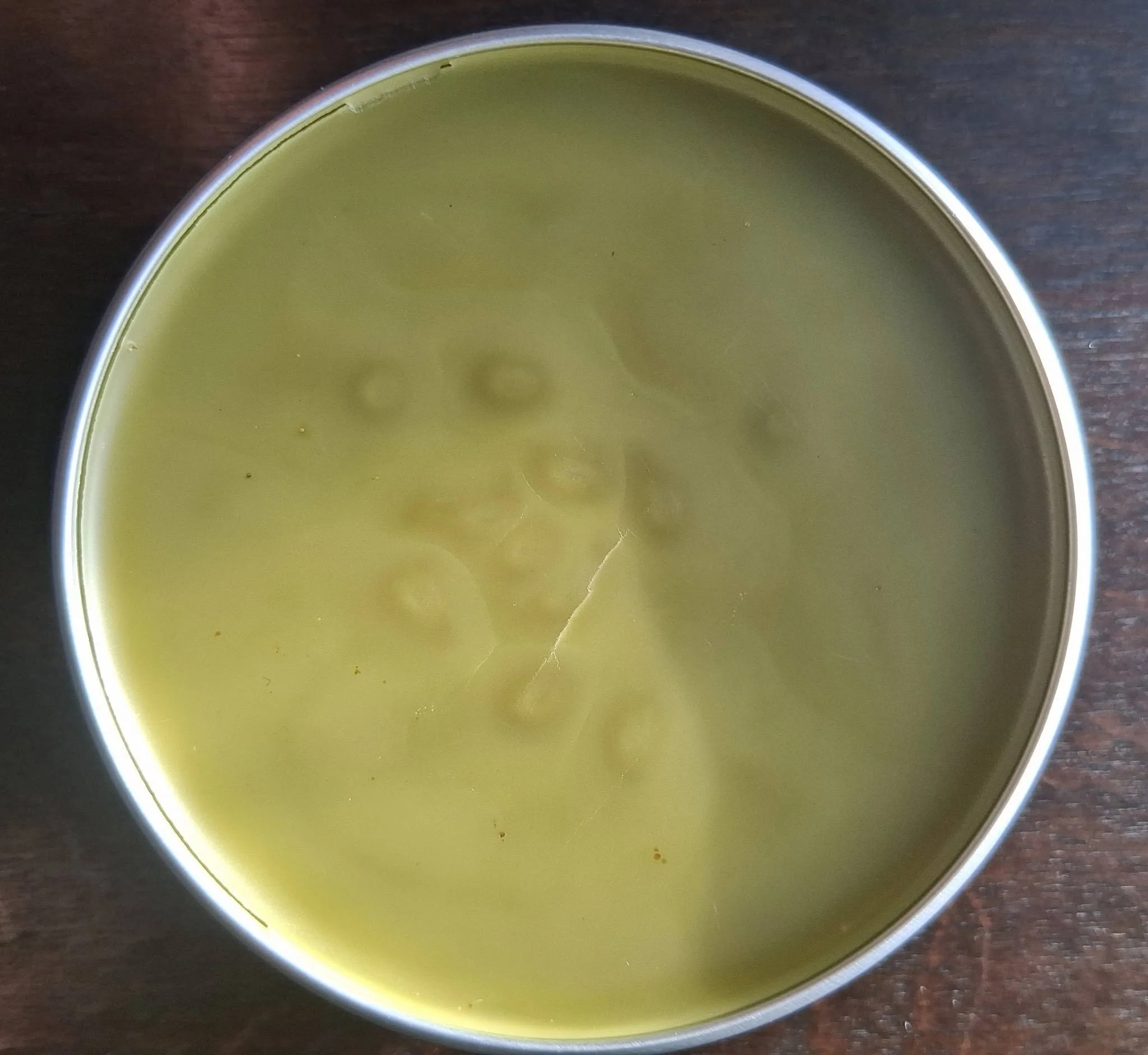 🌿 Wildcrafted Jewelweed Anti‑Itch Salve — 2 oz