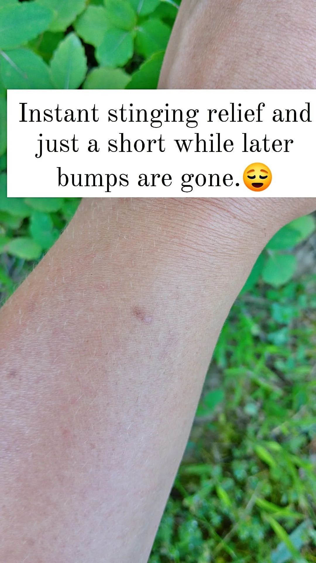 power of Jewelweed.jpg