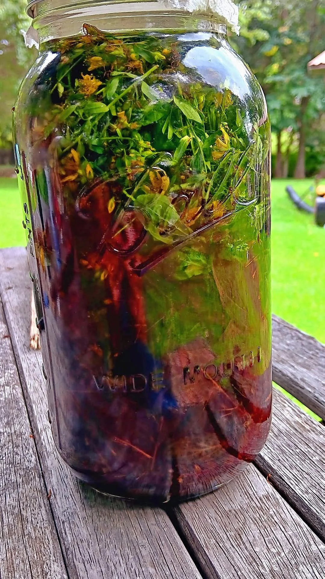 fresh St johns wort oil.jpg