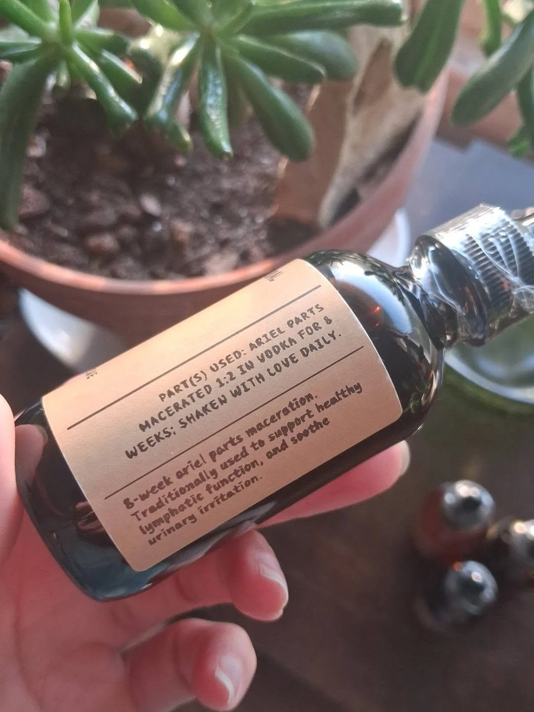 cleavers tincture back.jpg