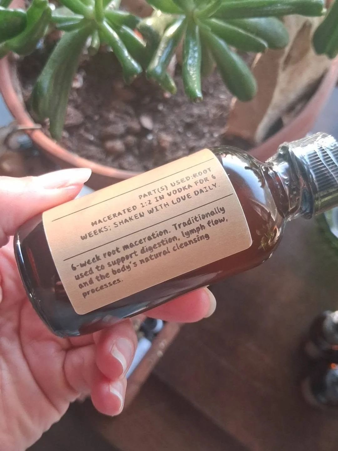 Burdock tincture back.jpg