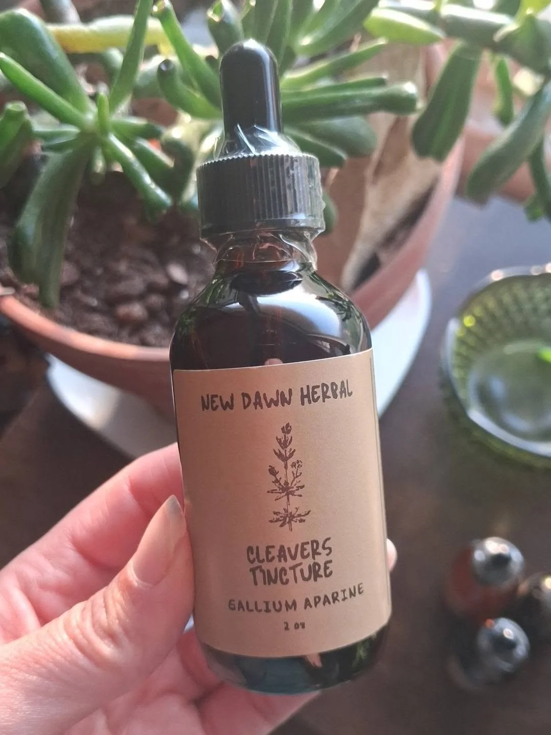 Cleavers Tincture 2oz