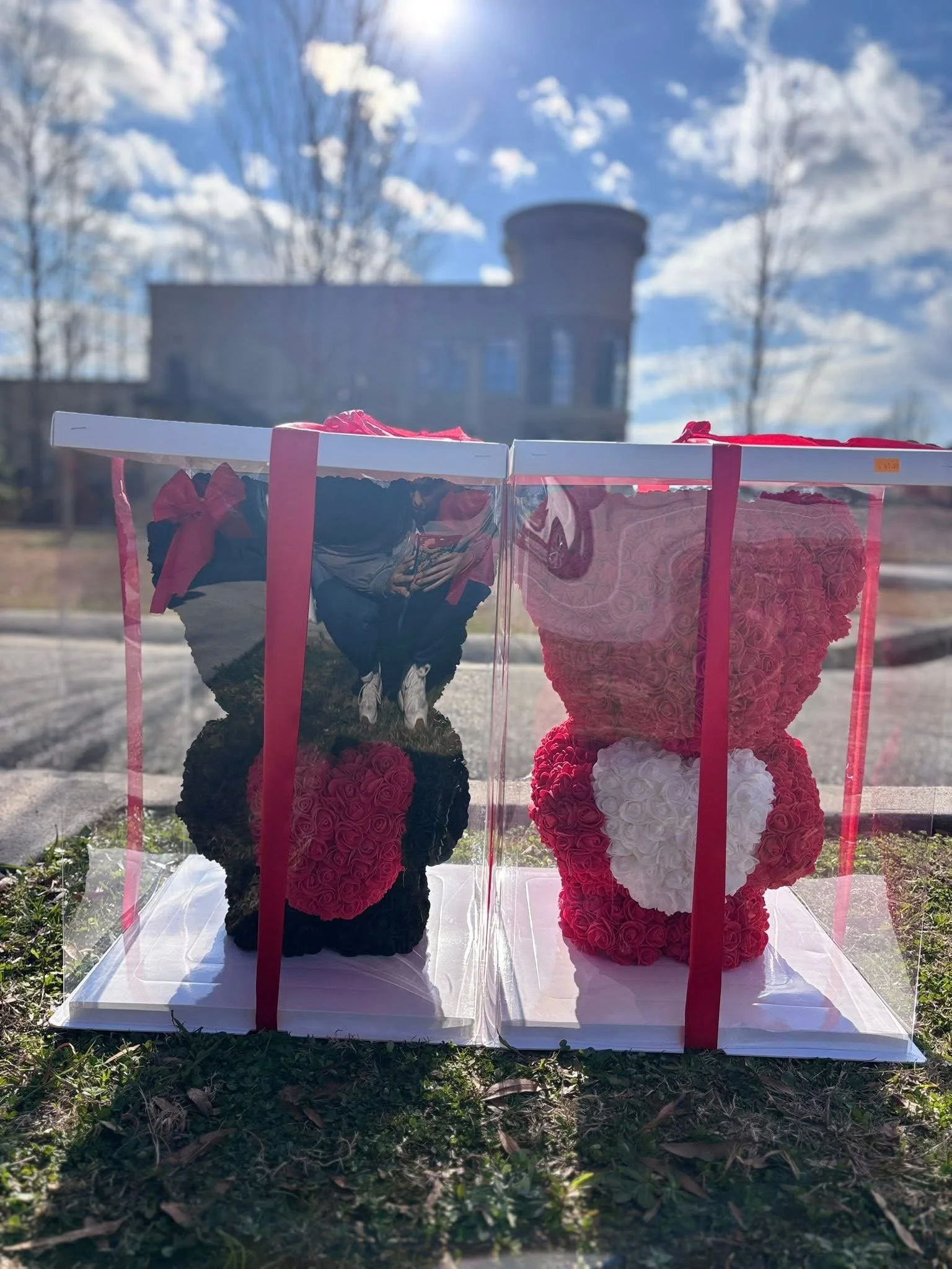 Two teddy bears made of pink and black roses inside a transparent box with red ribbon handles, reflected on the glass, outdoors with a building, trees, and a cloudy sky in the background.