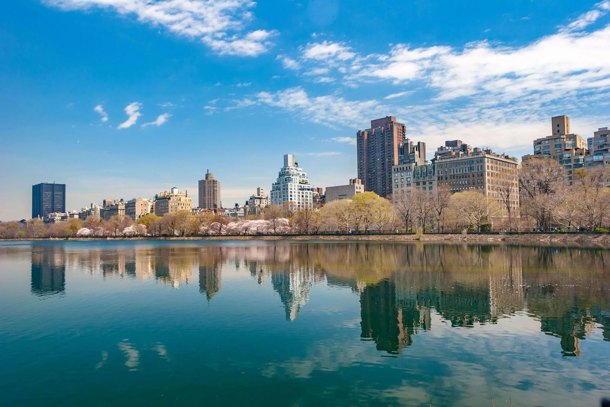View of Central Park in NYC