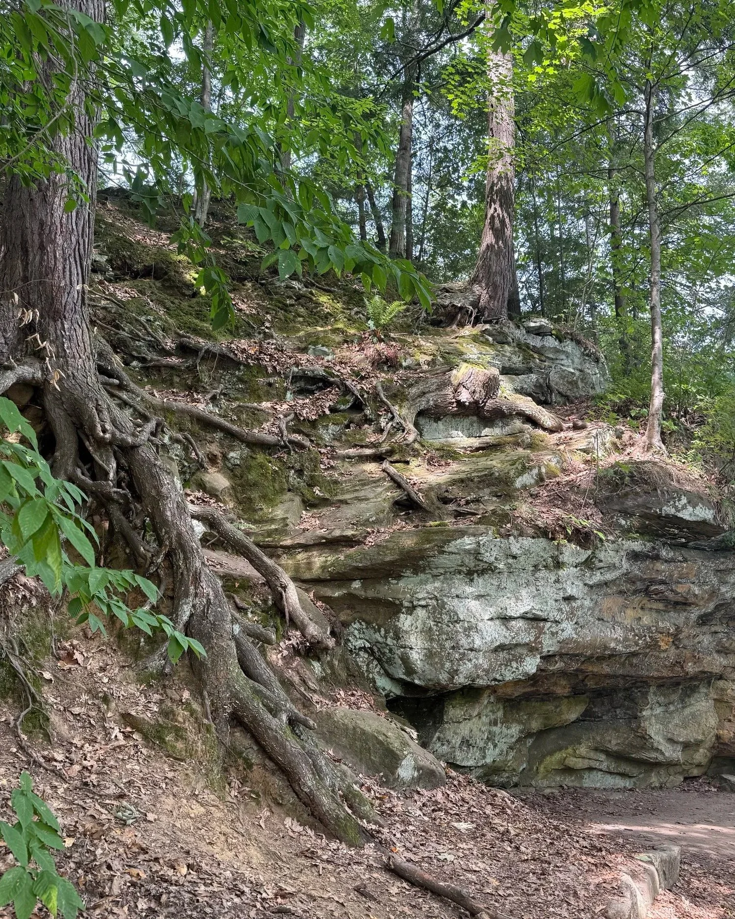 Grand Ledge MI, Fitzgerald Park
Captured 2026.07.31 ISO 80 f1.78 