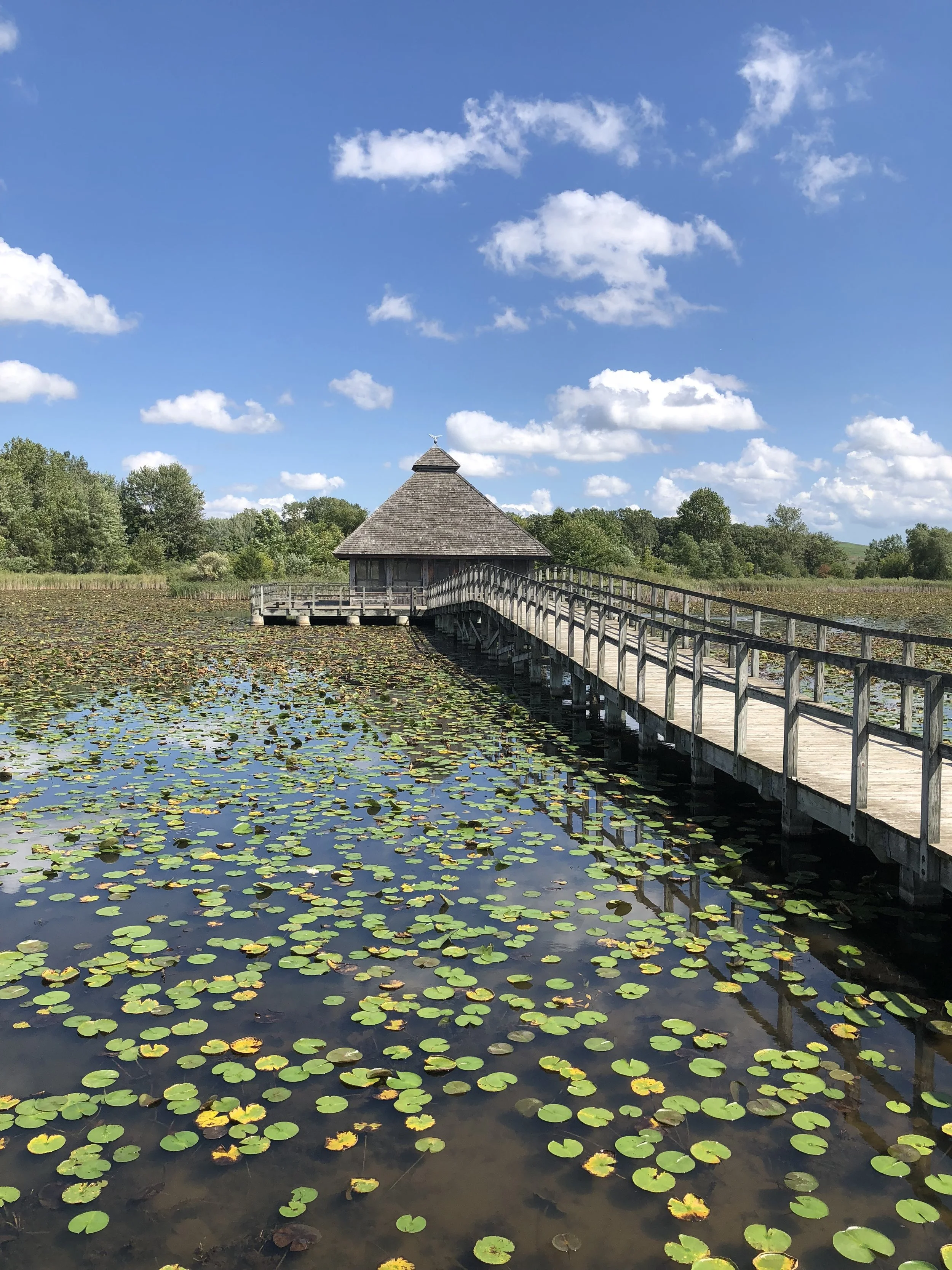 Crosswinds Marsh Wetlands Preserve
Captured 2018.09.02
