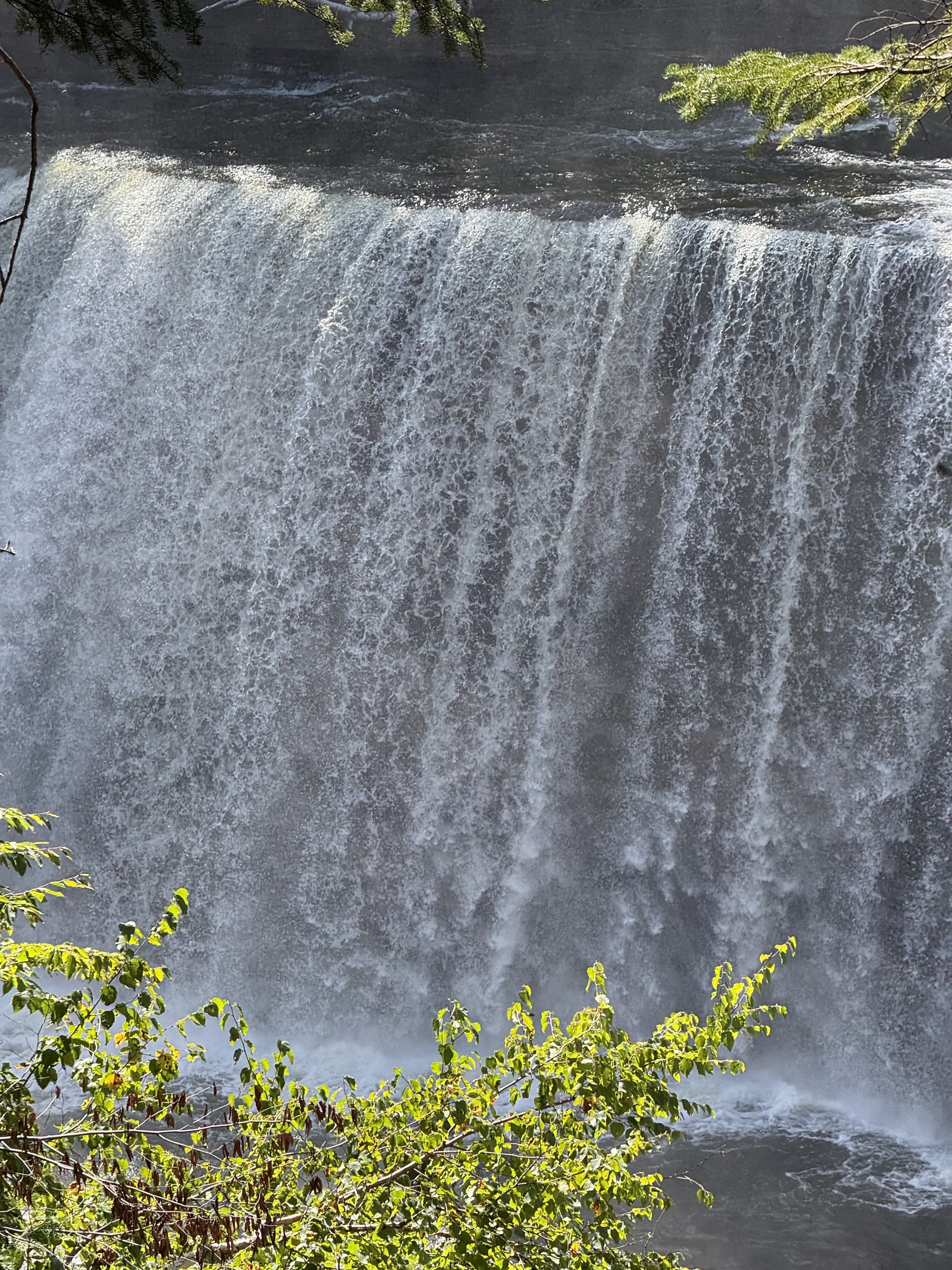 Tahquamenon Falls State Park
"Upper Falls"
McMillan Township MI ISO 100 f/2.8
Captured 2026.09.19