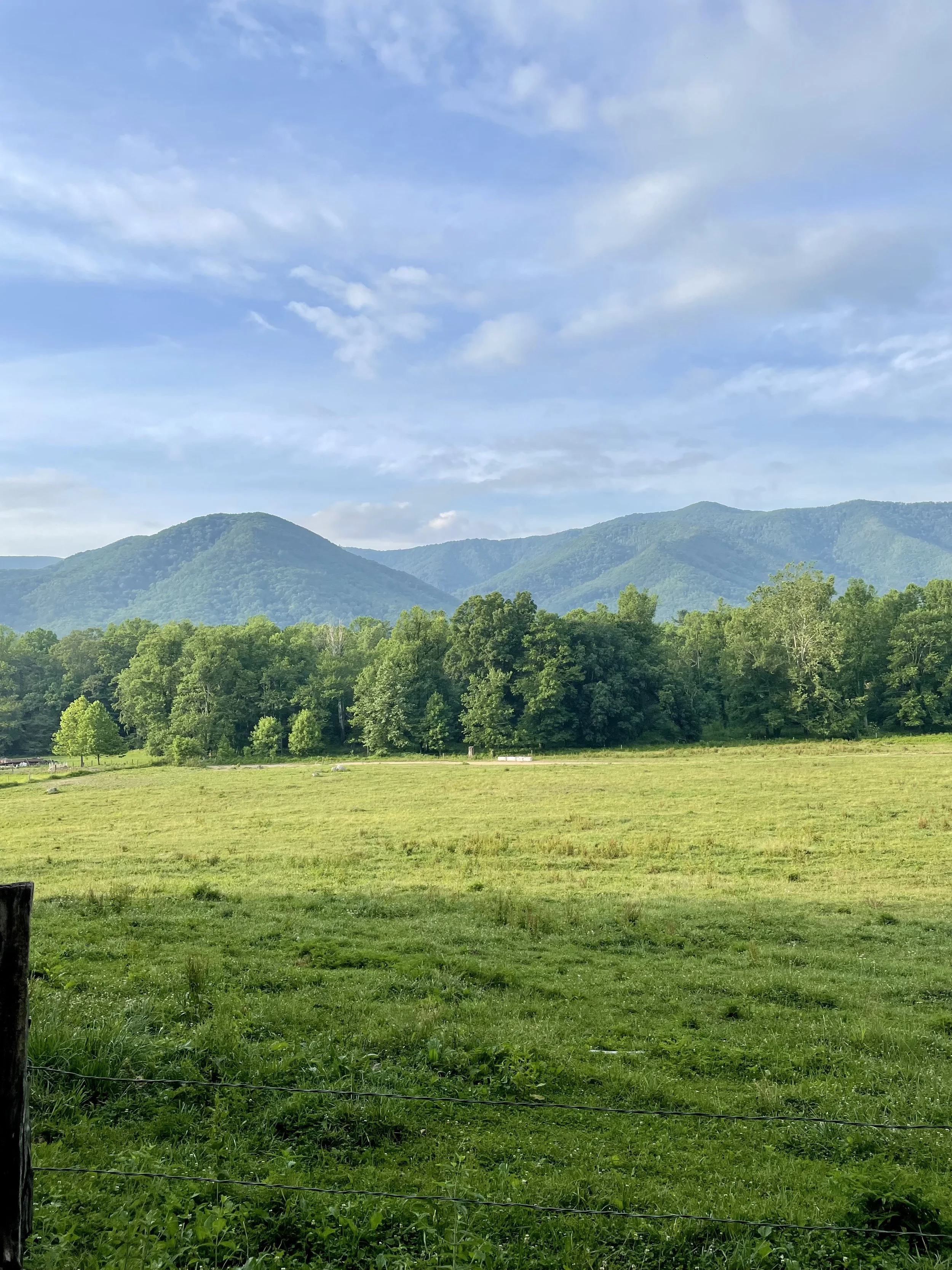Cades Cove, Great Smoky Mountains, ISO 32 f1.6 Captured 2021.06.19