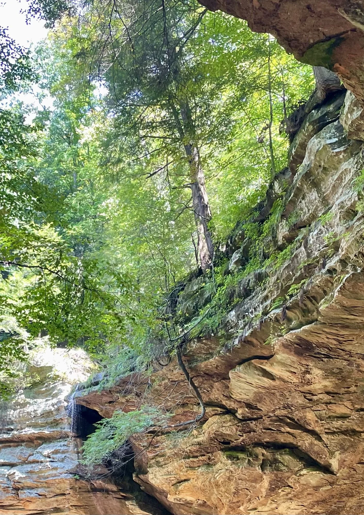Ash Cave, Hocking Hills State Park, Ohio Captured  2022.08.26