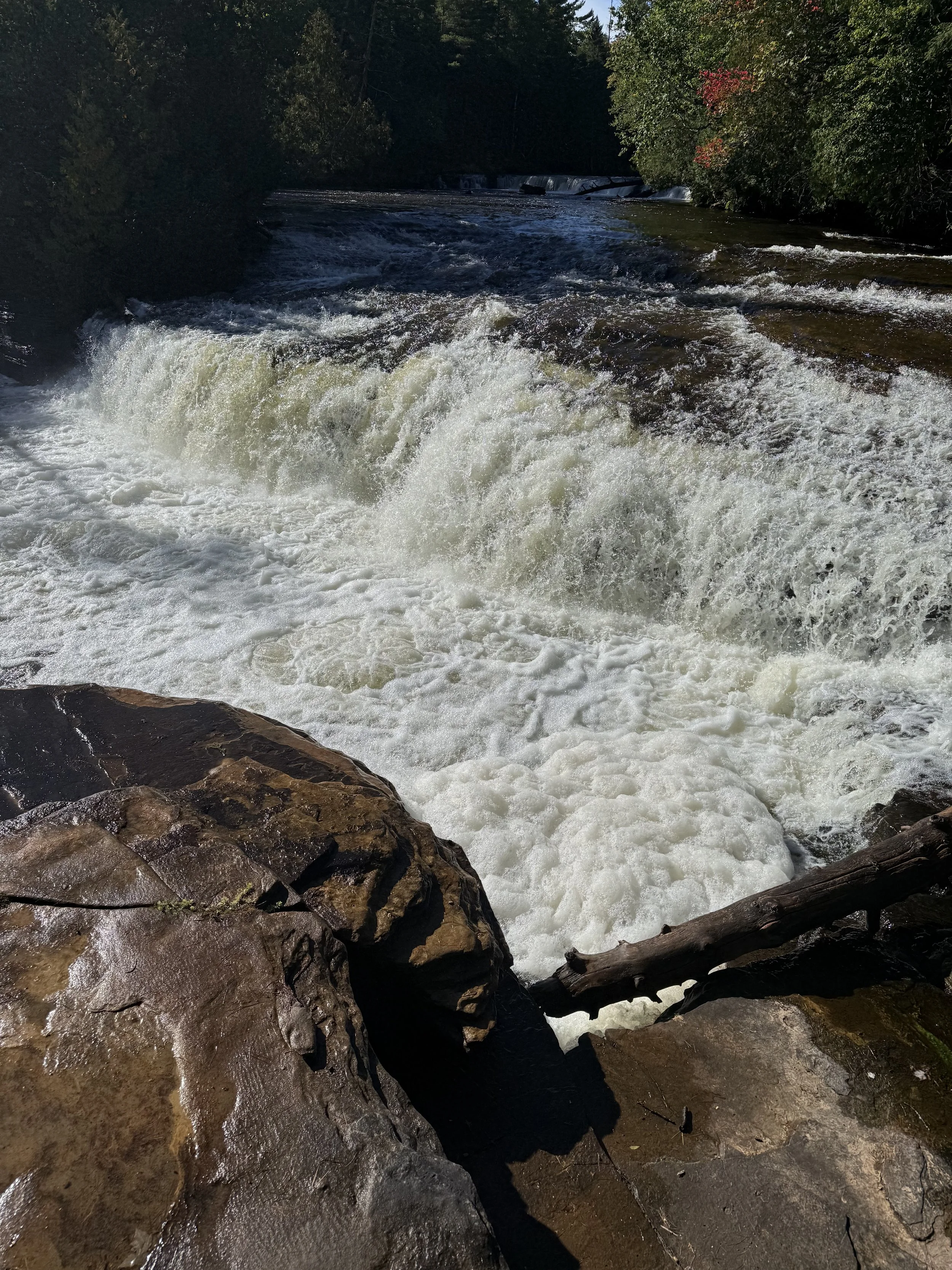 Tahquamenon Falls State Park
 "Lower Falls"
Paradise, MI North shore ISO 80 f/1.78
Captured 2026.09.19