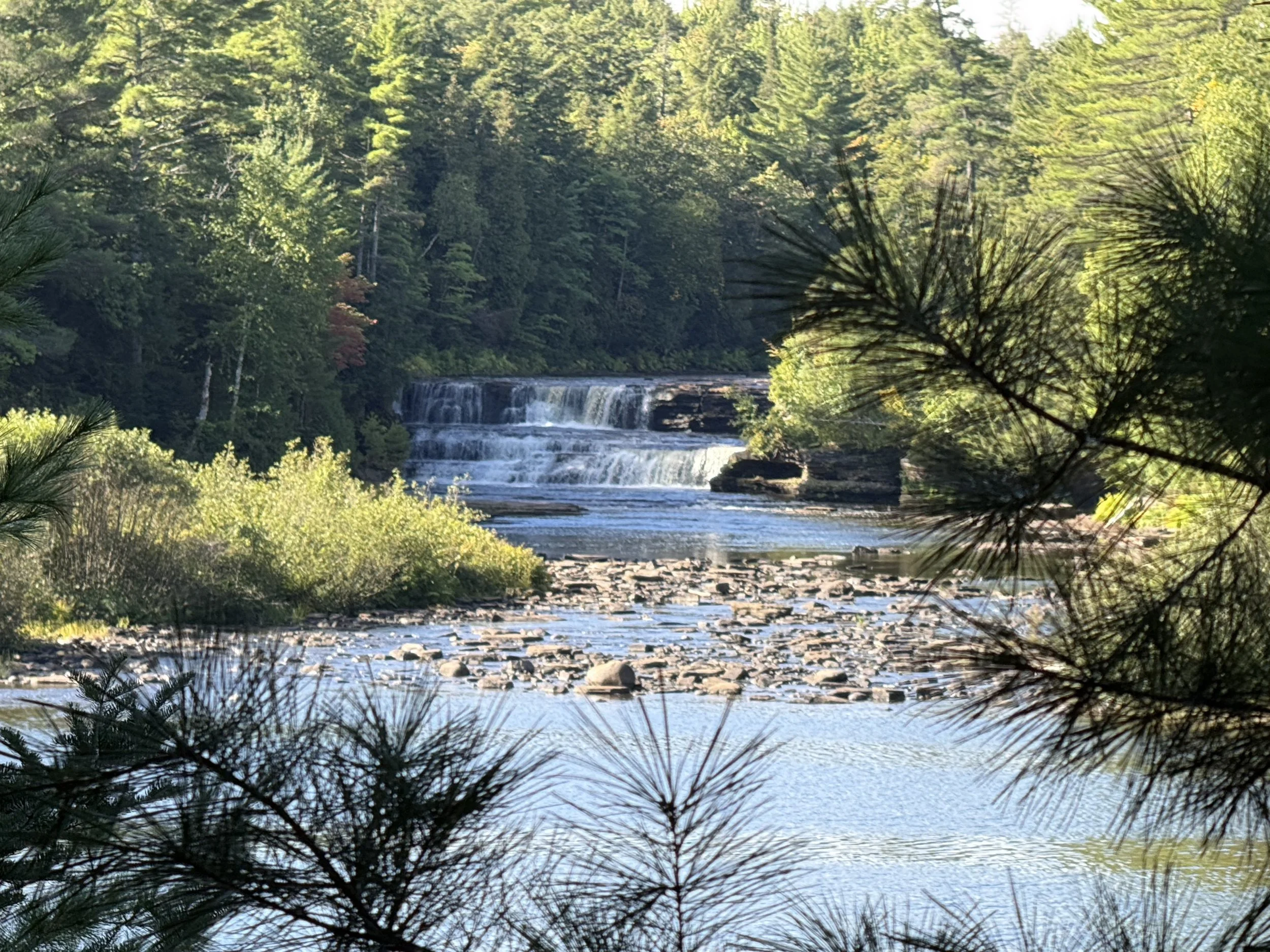 Tahquamenon Falls State Park
service trail "Lower Falls"
Paradise, MI ISO 50 f/2.8
Captured 2026.09.19