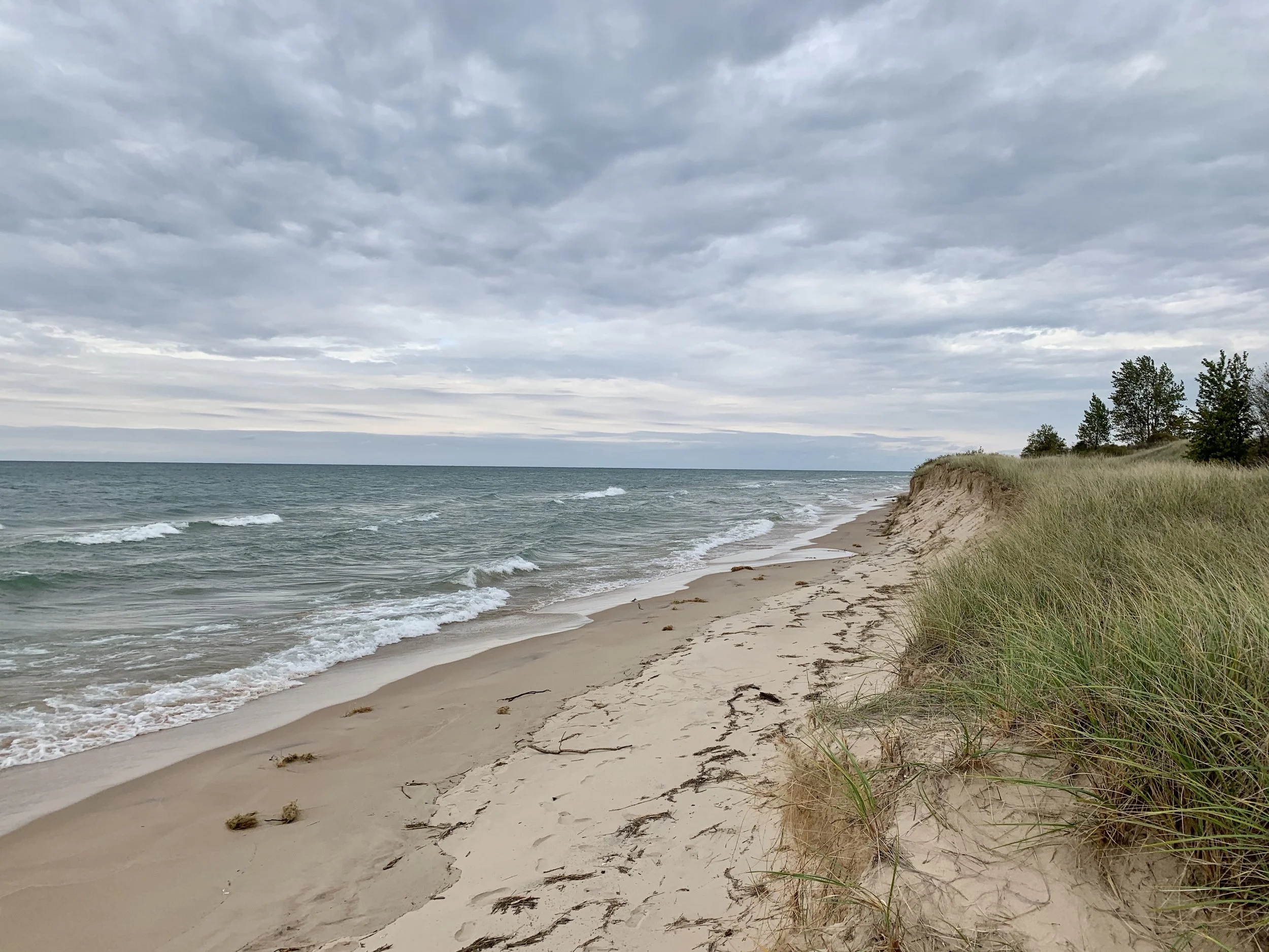Ludington State Park...ISO 25 f1.8
Captured 2019.10.05