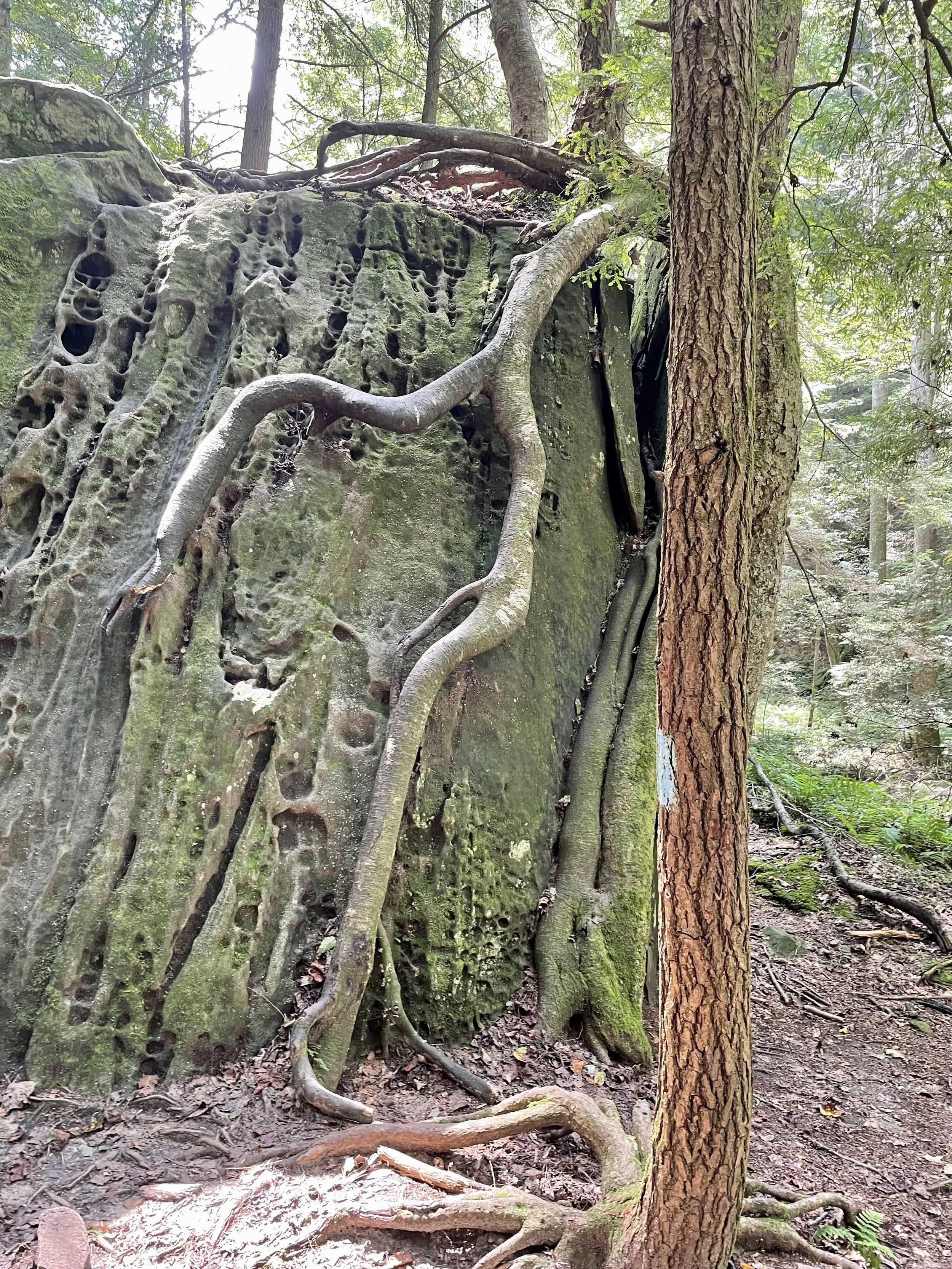 Hocking Hills State Park, Ohio Captured  2022.08.26