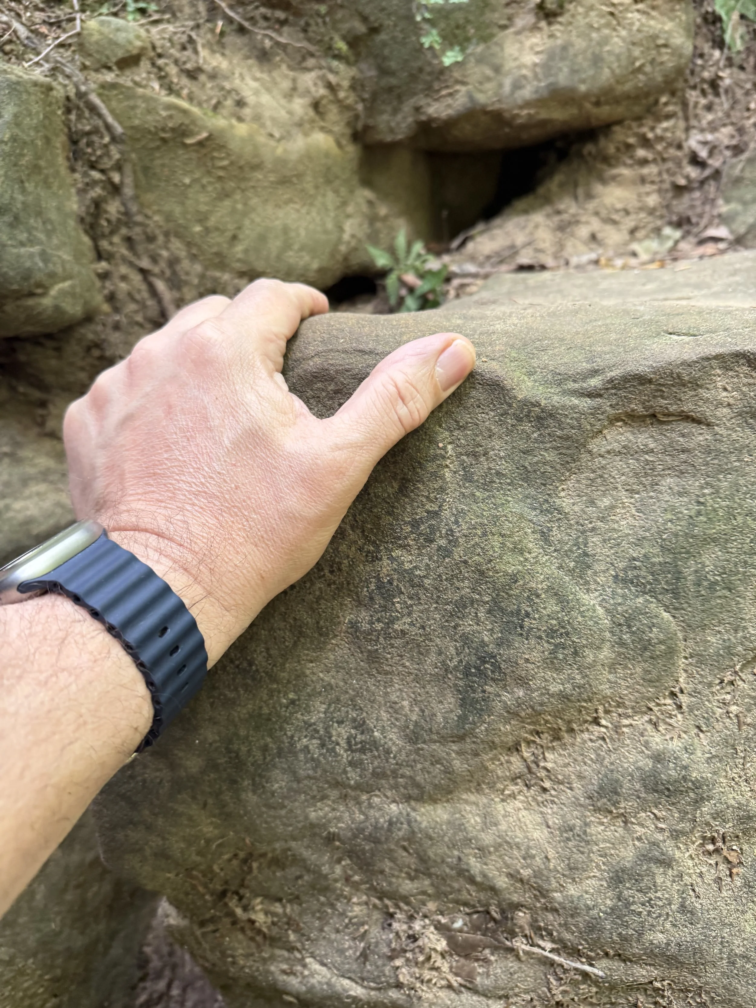 Grand Ledge MI, Fitzgerald Park
Captured 2026.07.31 ISO 200 f1.78 
"This is a work of Art" ONLY Climbers Understand....