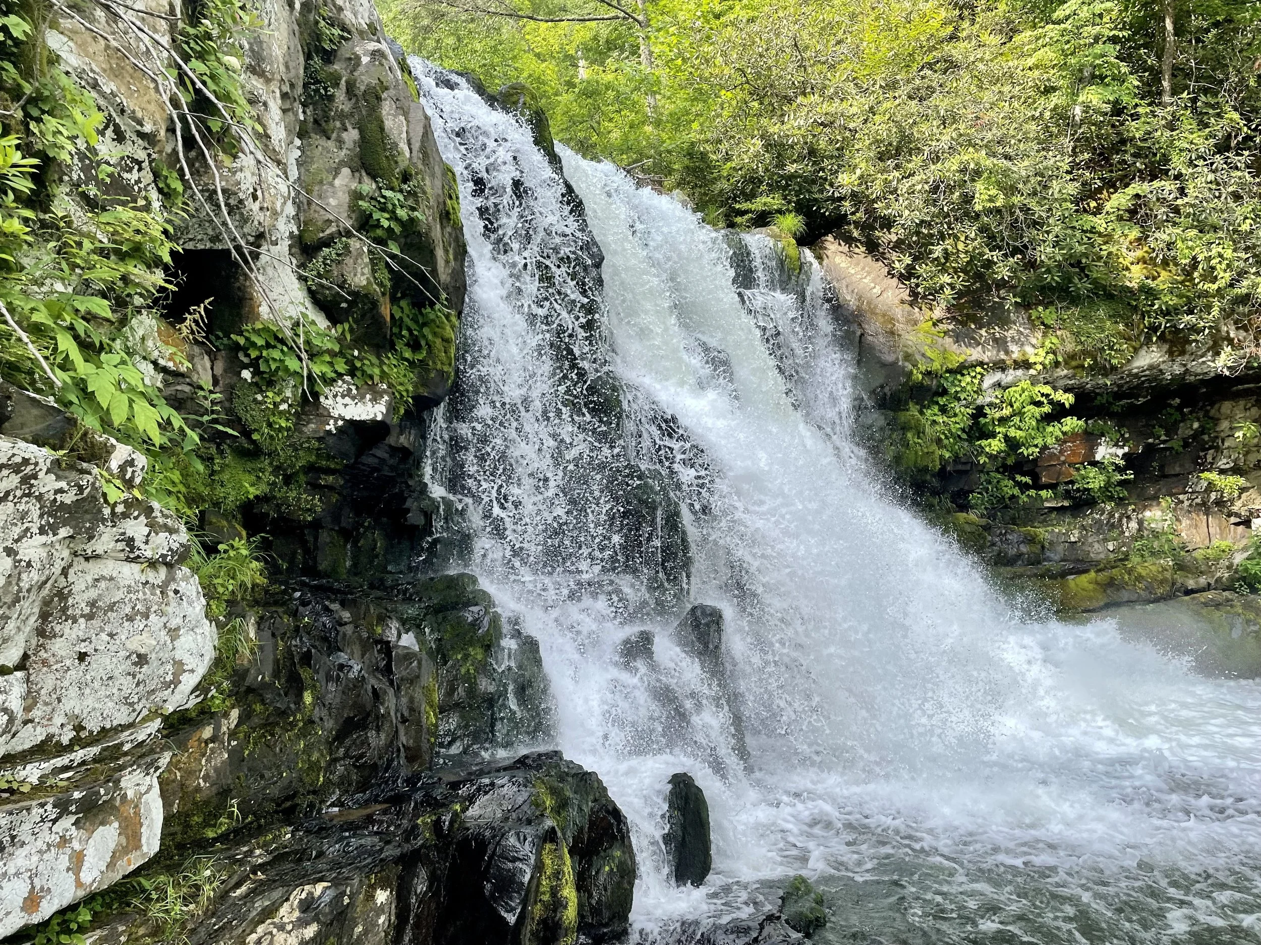 Cades Cove, Abrams Falls, Great Smoky Mountains ISO 32 f1.6 Captured 2021.06.19