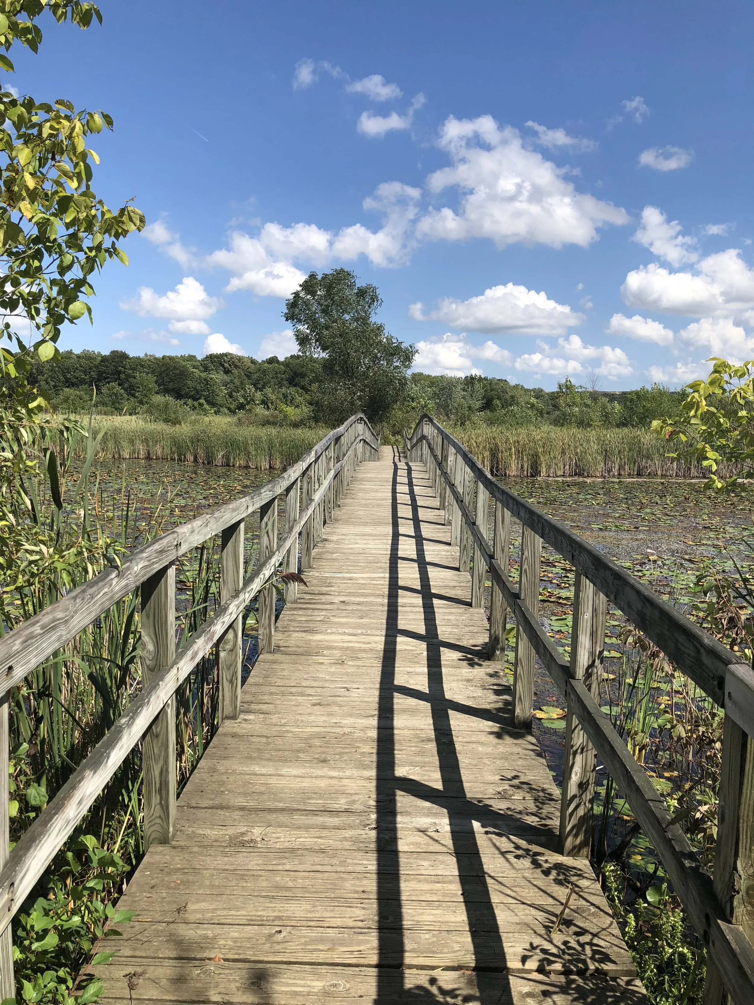 Cross Winds Marsh Preserve
ISO 20 f1.8 Captured 2018.09.02
