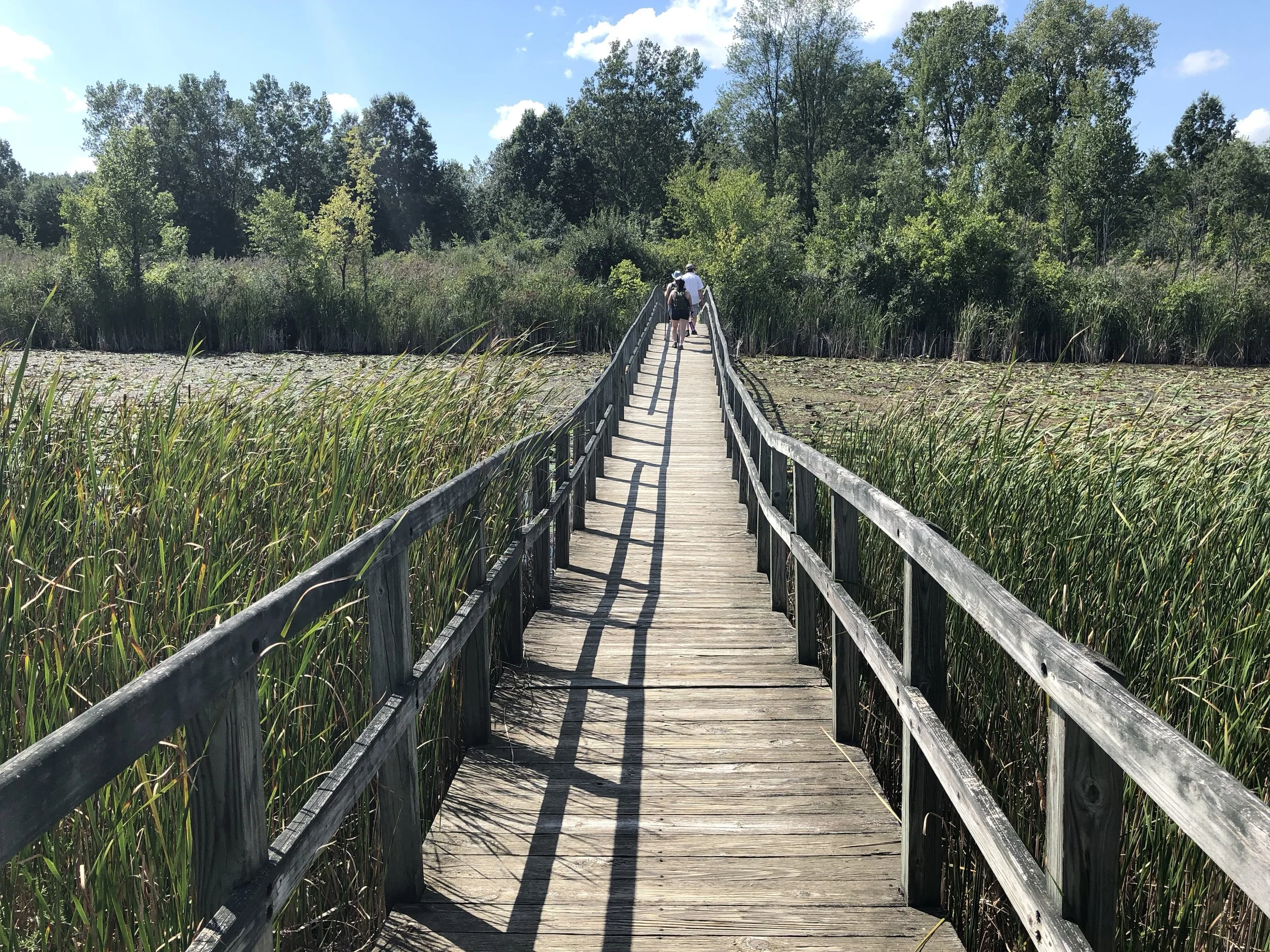 Cross Winds Marsh Preserve
ISO 20 f1.8 Captured 2018.09.02