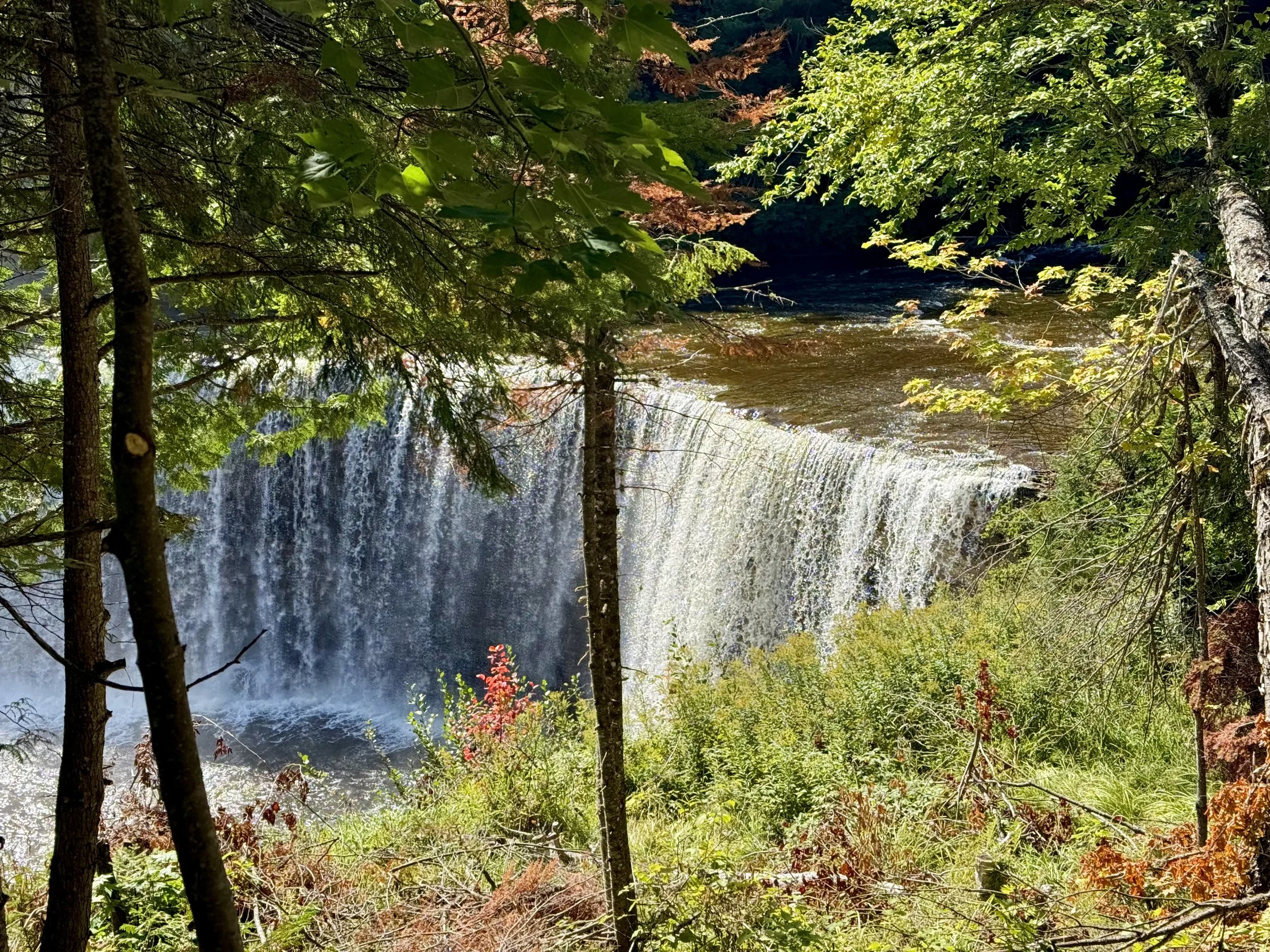 Tahquamenon Falls State Park
"Upper Falls"
McMillan Township MI ISO 80 100 f/1.78
Captured 2026.09.19