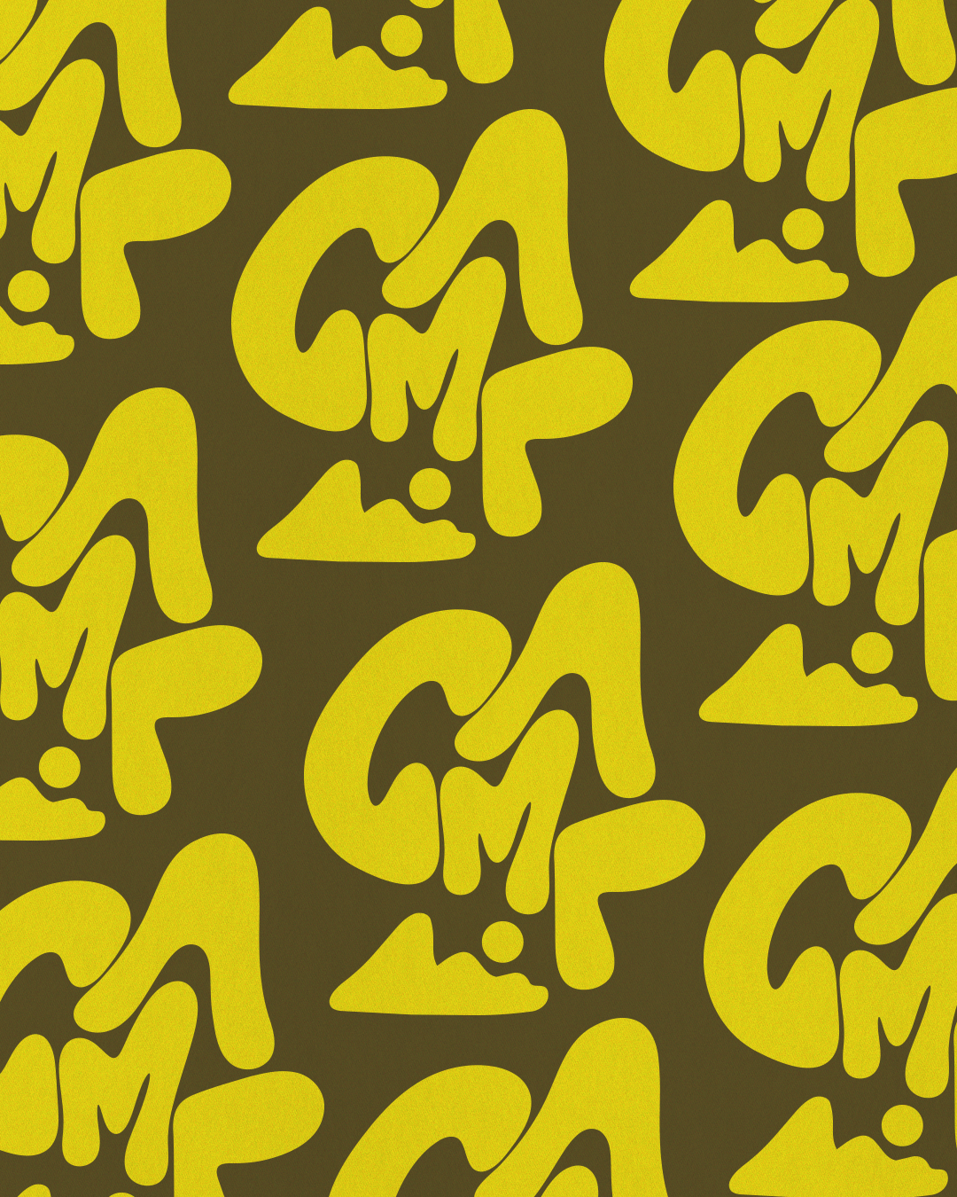 CAM26001-igp.png