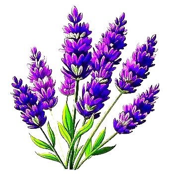 Petite Jardine Nannies