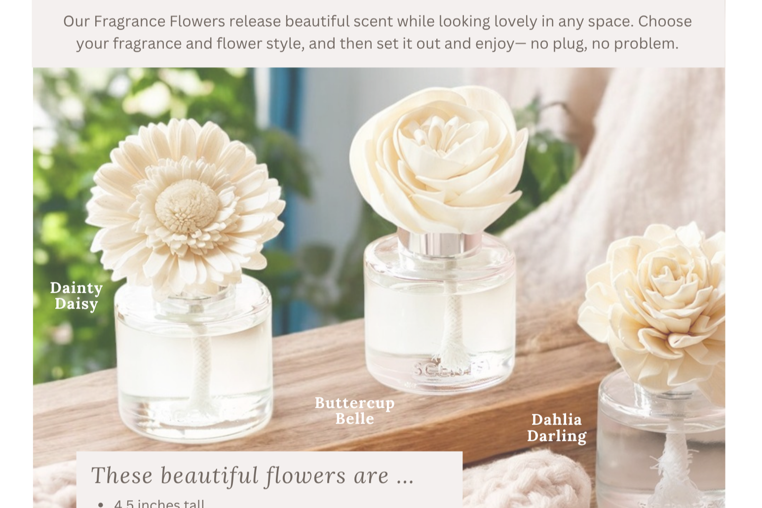 Three Fragrance Flowers in glass containers filled with Scentsy fragrance oil, labeled as Dainty Daisy, Buttercup Belle, and Dahlia Darling, placed on a wooden surface.
