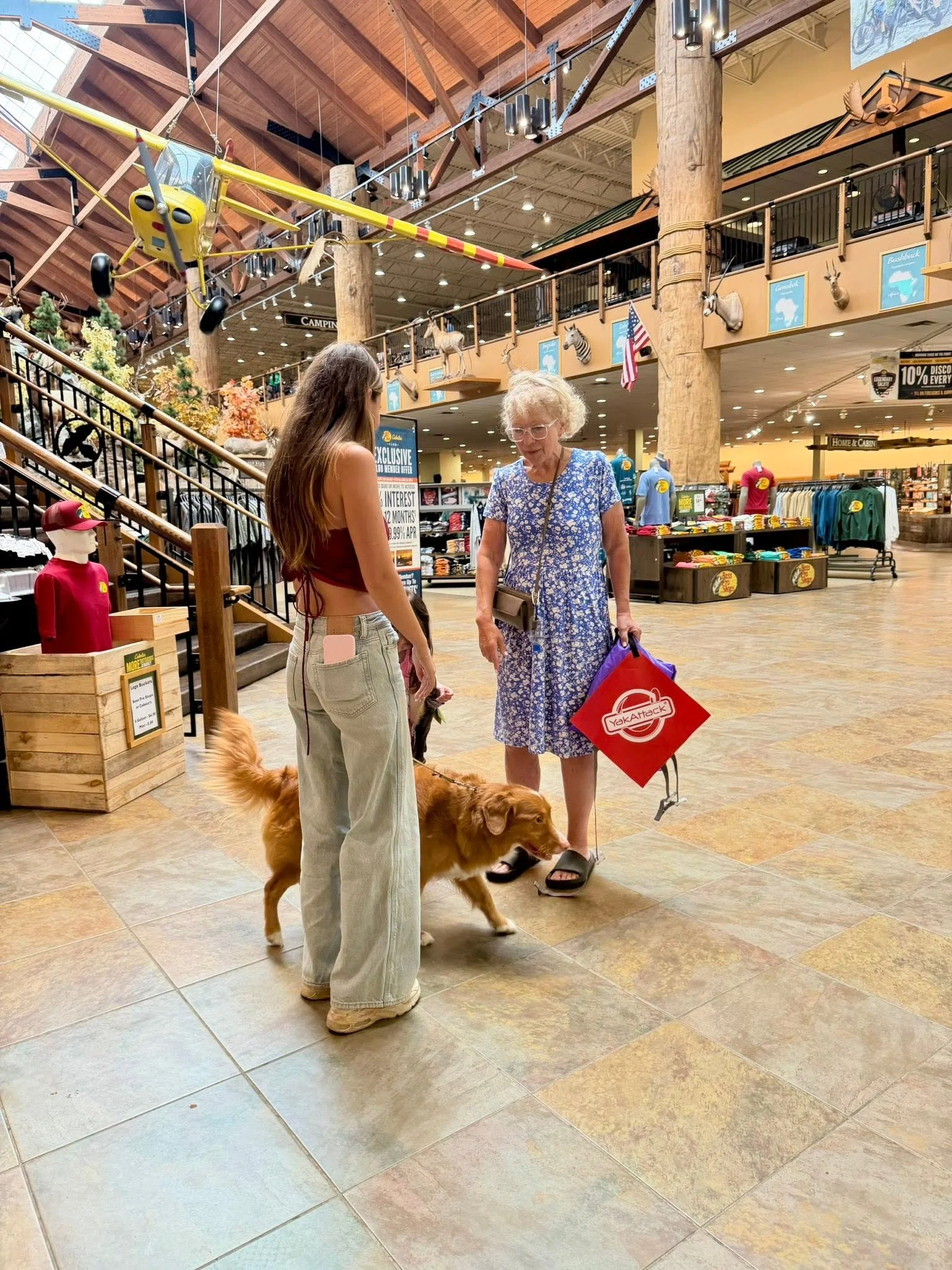 An elderly woman and a young woman are inside a store, engaging with a large golden retriever dog. The store has wooden interiors with animal mounts and decorative signs. The elderly woman holds a red shopping bag, and the young woman is wearing a sleeveless top and beige pants, with a pink phone and a dog leash in her pockets. There is a yellow helicopter model hanging from the ceiling.