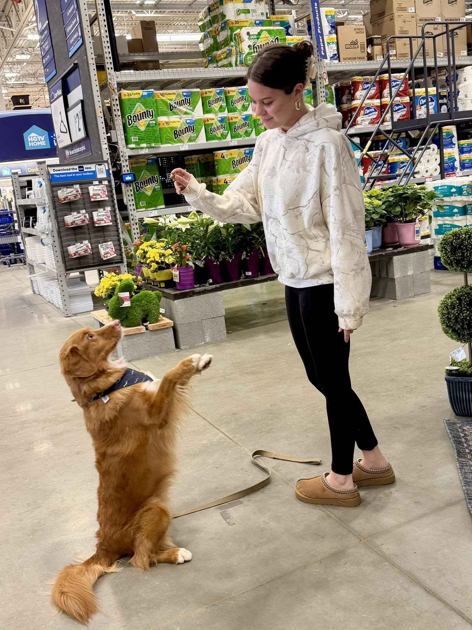 A woman in a beige hoodie and black pants with tan slippers interacts with a golden retriever puppy at a store. The puppy is sitting and looking up at her, while she looks down at it with a smile. Shelves with paper towels and plants are visible in the background.