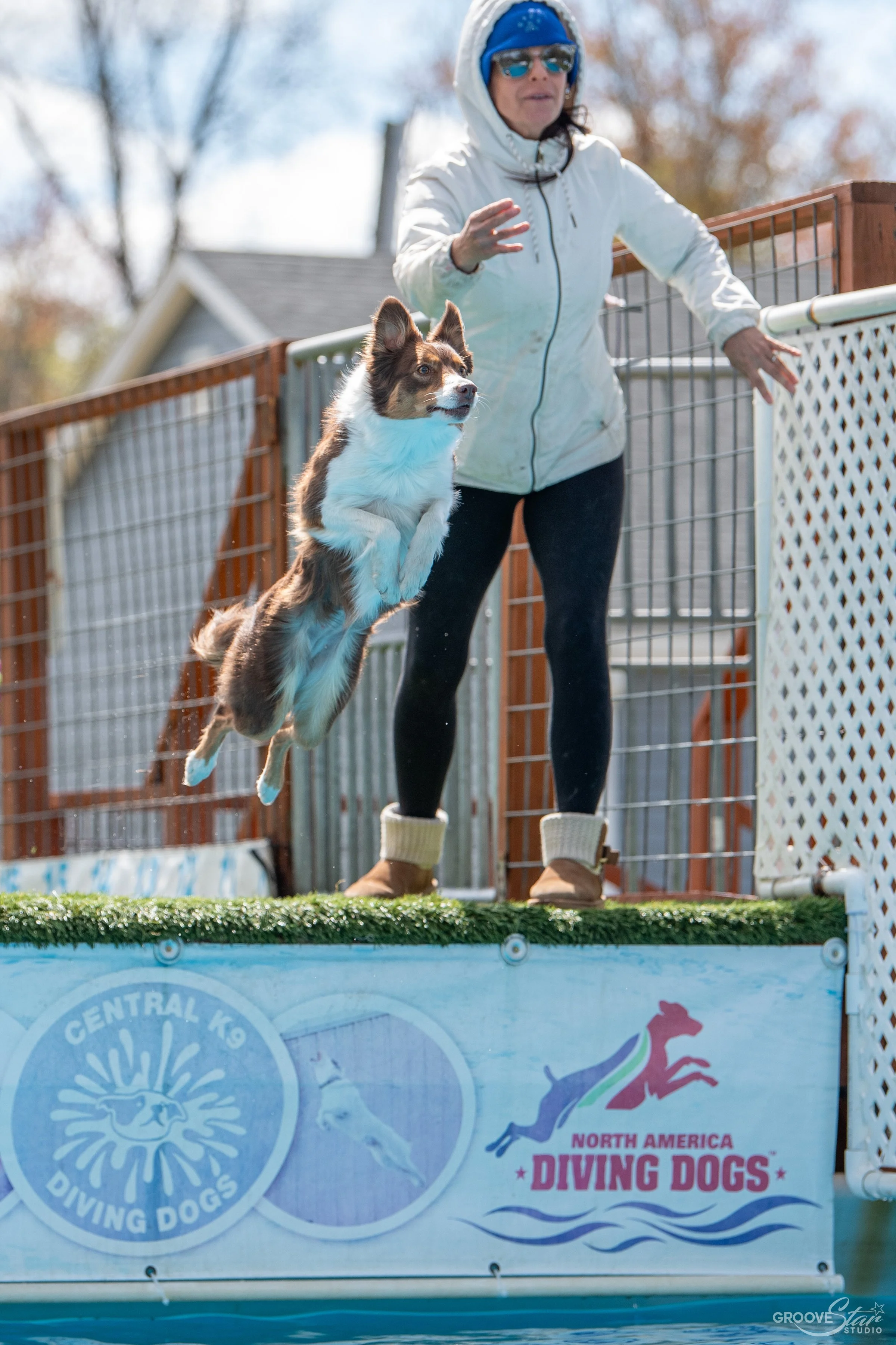 A woman in a white jacket, blue hat, and sunglasses jumps into a pool with a dog during a diving event at a dog diving competition. The dog is in mid-air, leaping out of the water and appears to be a Border Collie. The pool has a sign that reads "North America Diving Dogs."