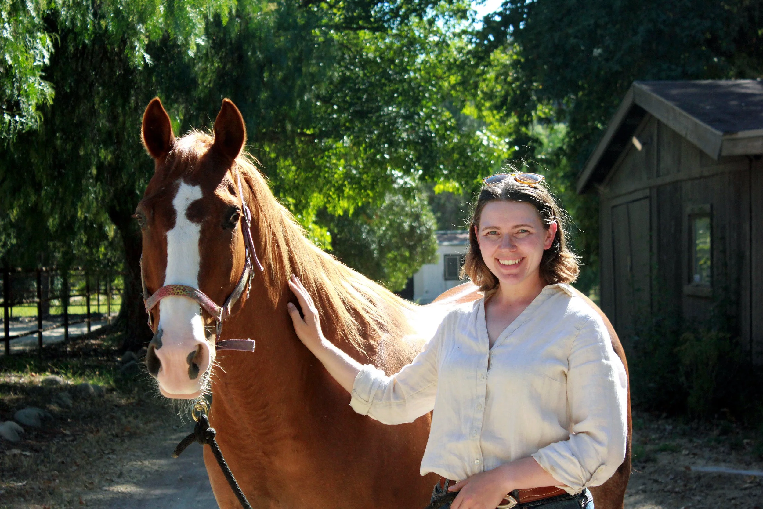 Chestnut horse and woman equine sports massage