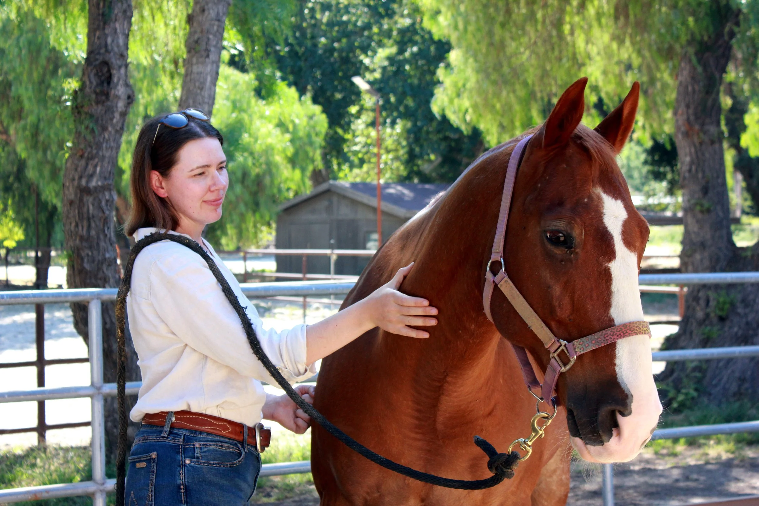 Chestnut horse and woman Equine Sports Massage