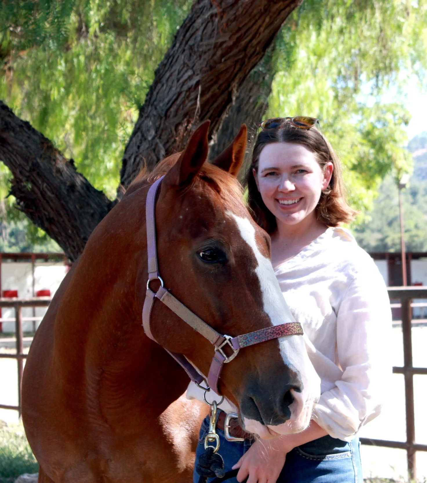 Chestnut horse and woman Equine Sports Massage