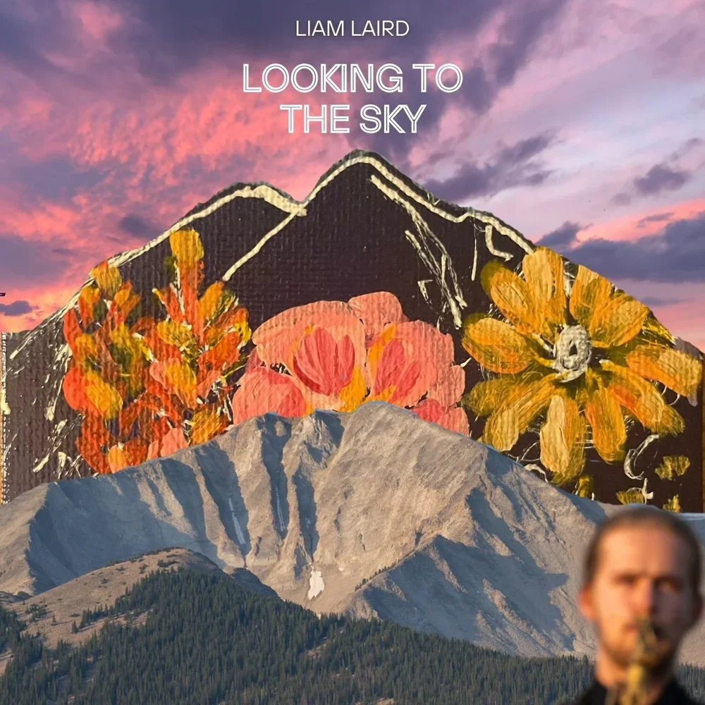 Book cover for Liam Laird's 'Looking to the Sky' featuring a collage of painted mountains, flowers, and a sunset sky.
