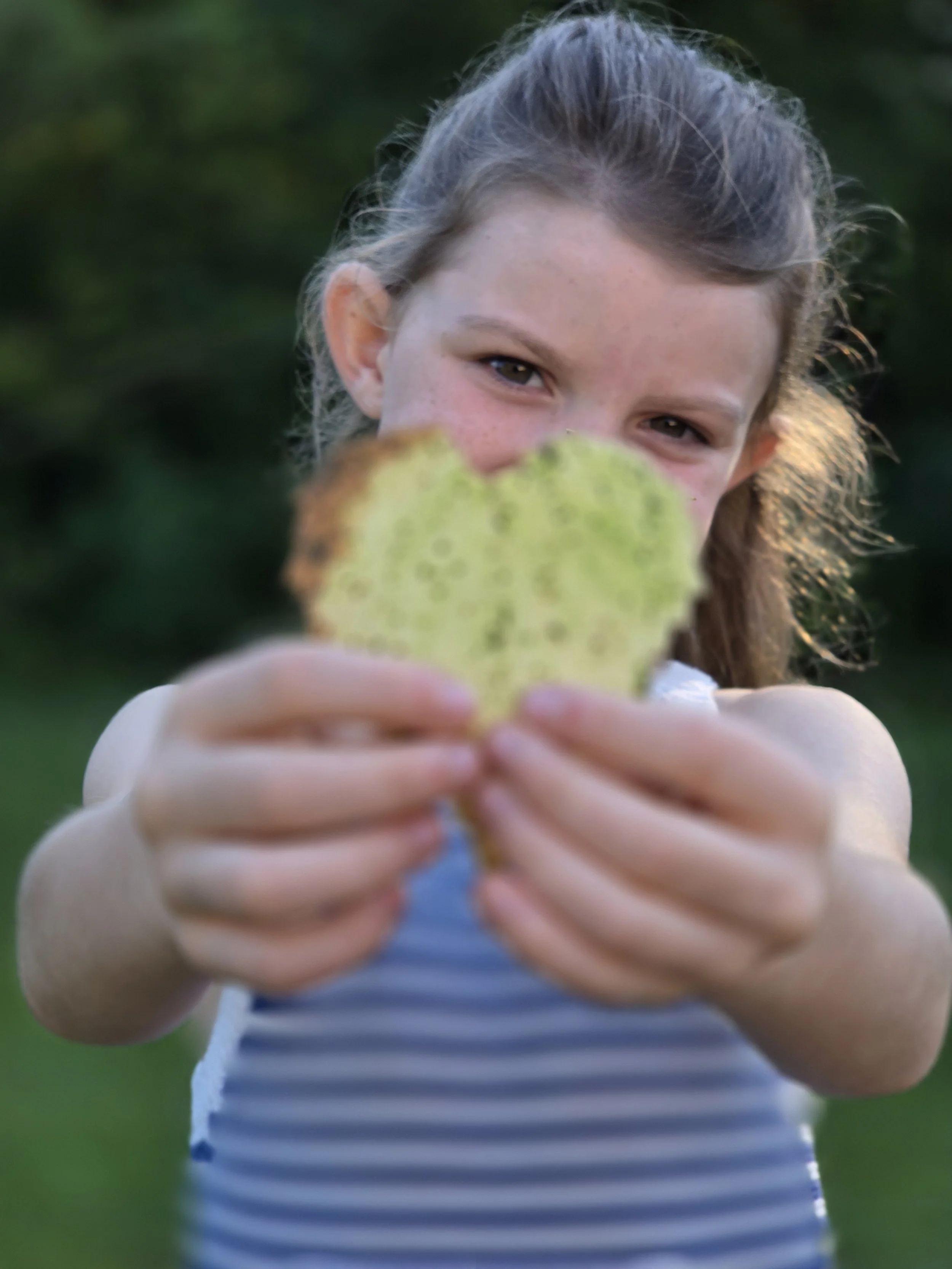 A young girl with light brown hair and freckles holding a yellow-green leaf toward the camera, with her eyes visible behind it. She is wearing a blue and white striped shirt, outdoors with blurred green background.