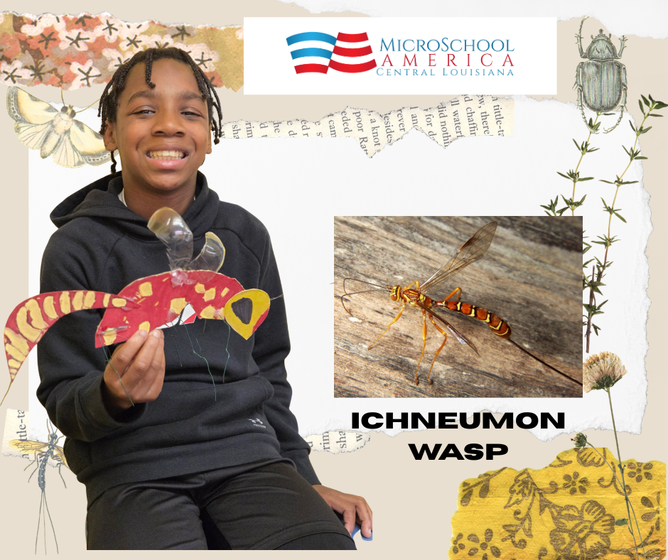 A boy holding a colorful craft insect model, with a smiling face, sitting indoors. The image includes a photo of a real ichneumon wasp, with text labeling it as 'ICHNEUMON WASP'. The background has various nature-themed illustrations and a logo for MicroSchool America, Central Louisiana.
