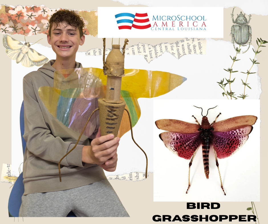 A boy holding a large, colorful butterfly model with paper wings. The image features the MicroSchool America logo and illustrations of a beetle and a grasshopper, with the text "BIRD GRASSHOPPER" at the bottom.