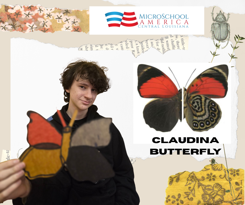 A young boy holding a butterfly craft in front of a collage background with images of a real butterfly and the text "CLAUDINA BUTTERFLY". The collage includes the logo for MicroSchool America Central Louisiana, a beetle illustration, patterned tape, and decorative paper elements.