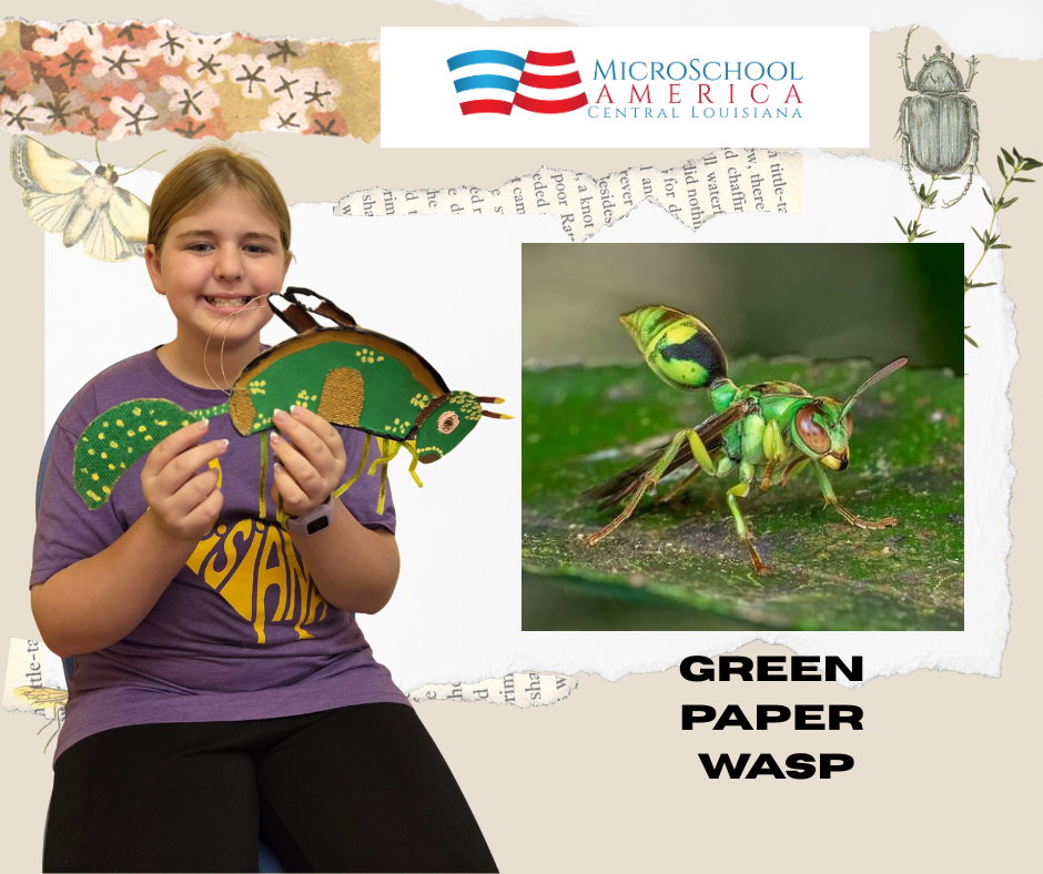 A young girl holding a green paper wasp craft in front of a white background with the MicroSchool America logo, a close-up of a real wasp, and a drawing of a beetle. The text 'GREEN PAPER WASP' is at the bottom.