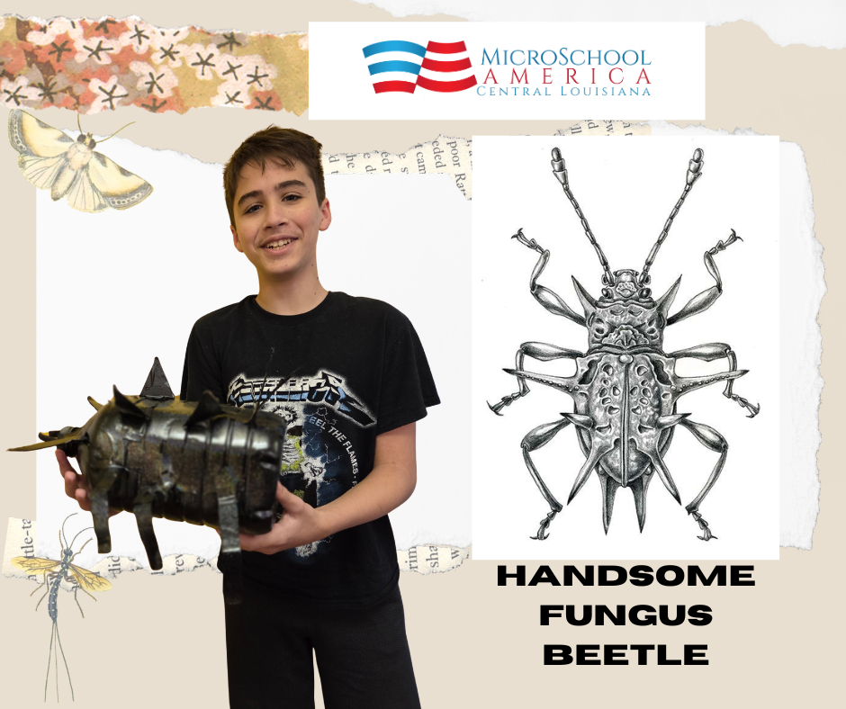 A boy holding a model of a beetle, standing next to a drawing of a beetle with the caption 'Handsome Fungus Beetle'. The background has a collage style with the MicroSchool America logo, illustrations of butterflies, and a dragonfly.